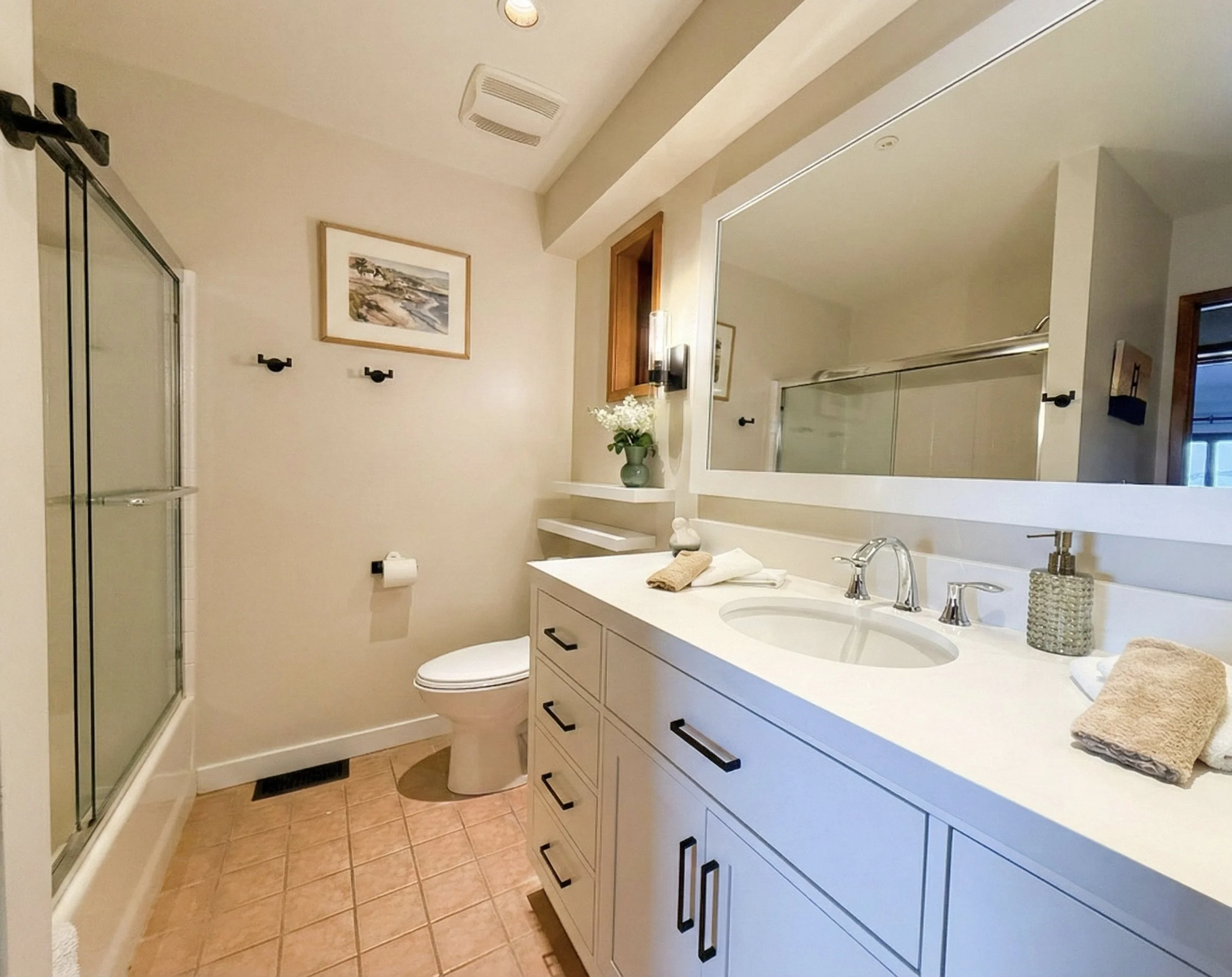 lower level bathroom.jpeg