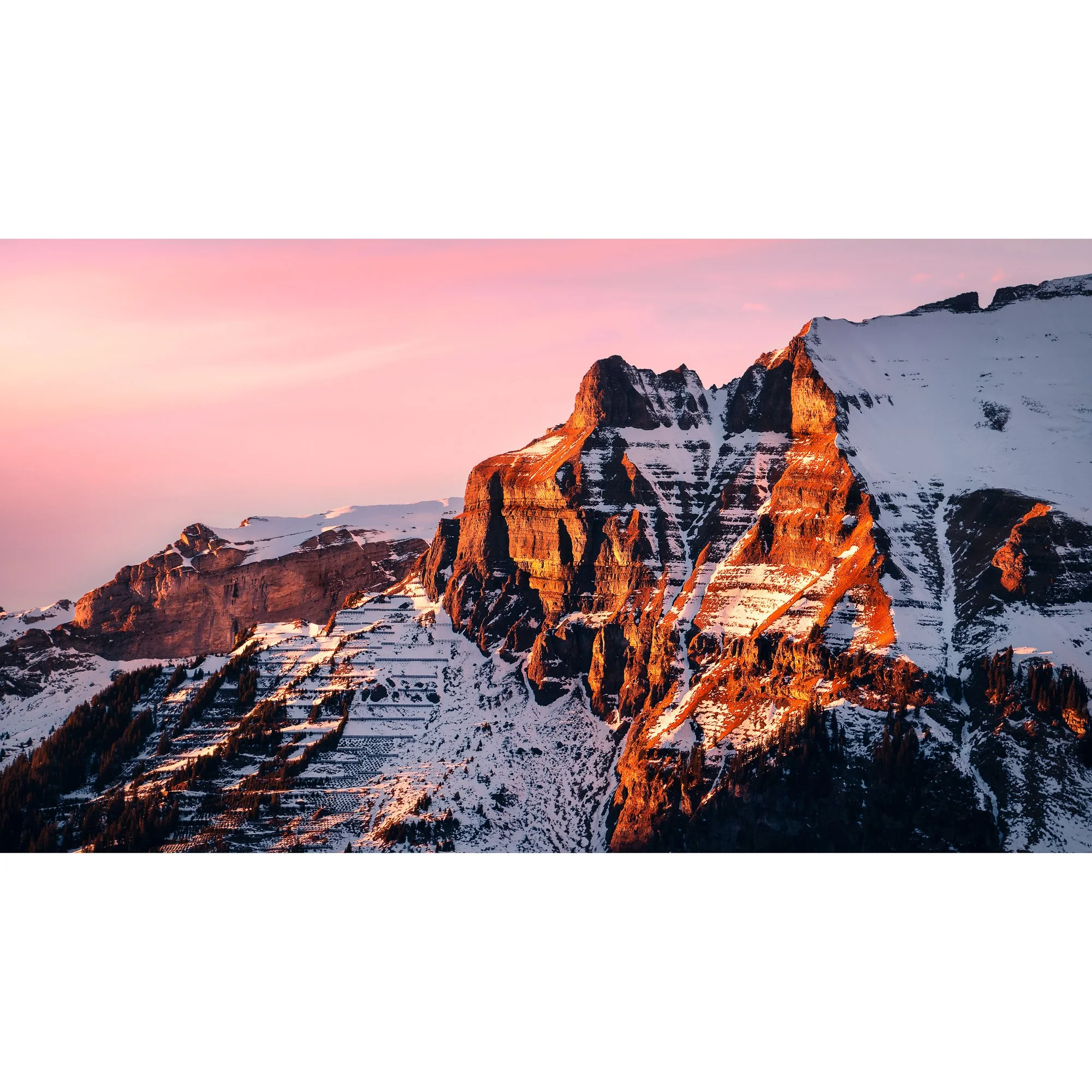 _DSC4220-SwissART(Pro Photo)-Modifier-2-16x9.jpg