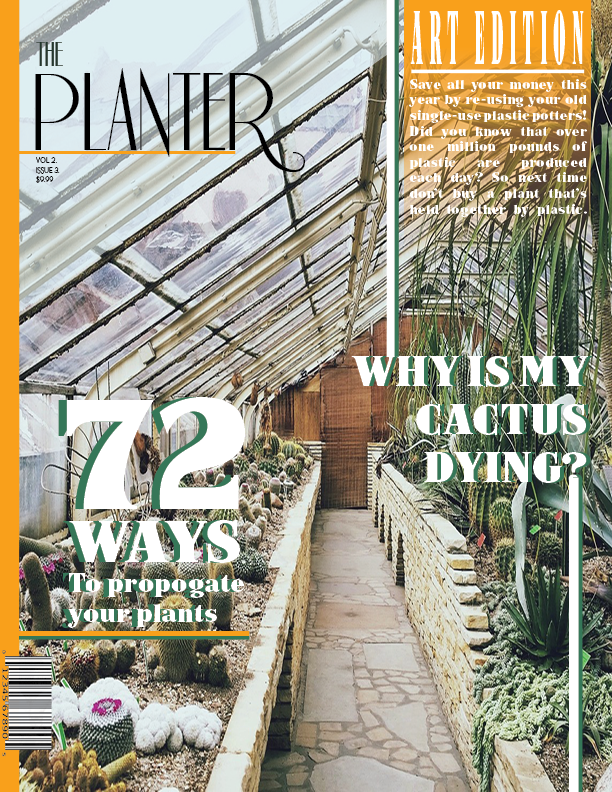 MAGAZINE COVER.png