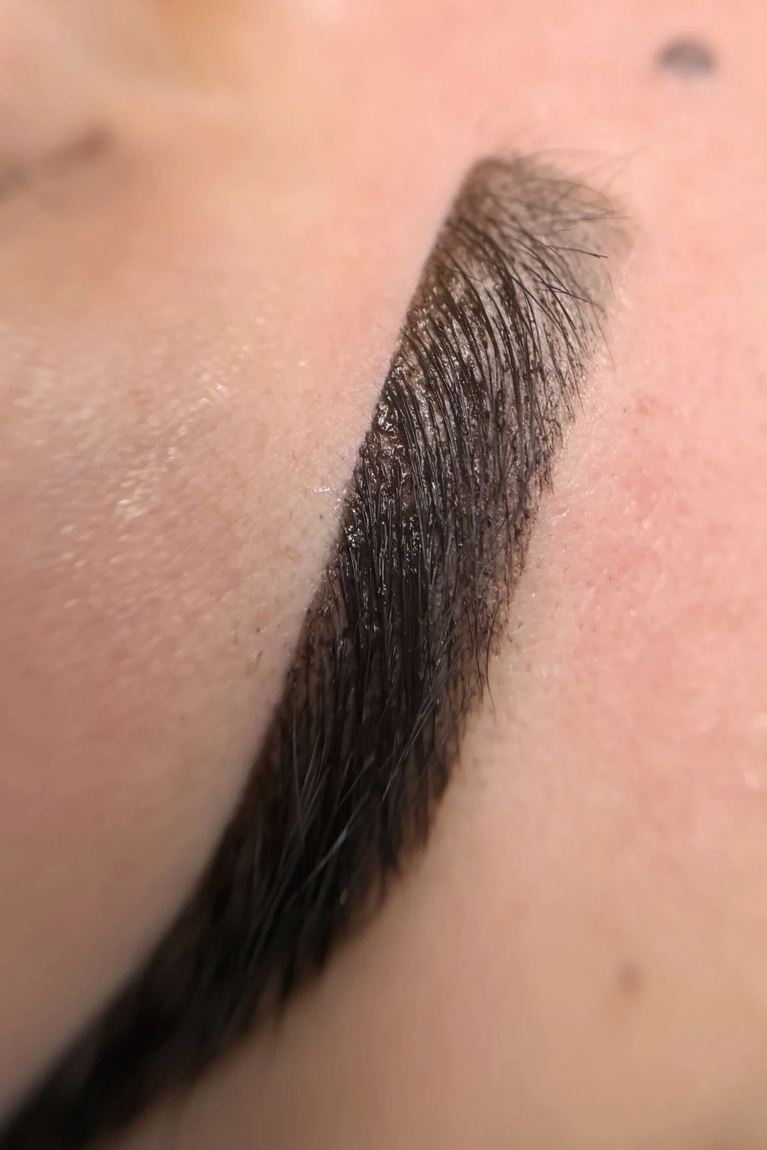 Brow Tint Portfolio