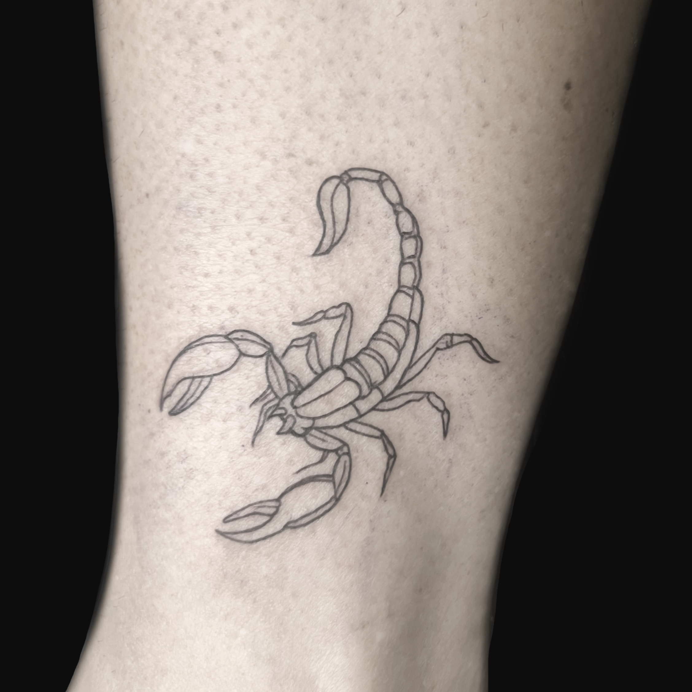 Mini Tattoo Zodiac Scorpion Hamburg Fineline