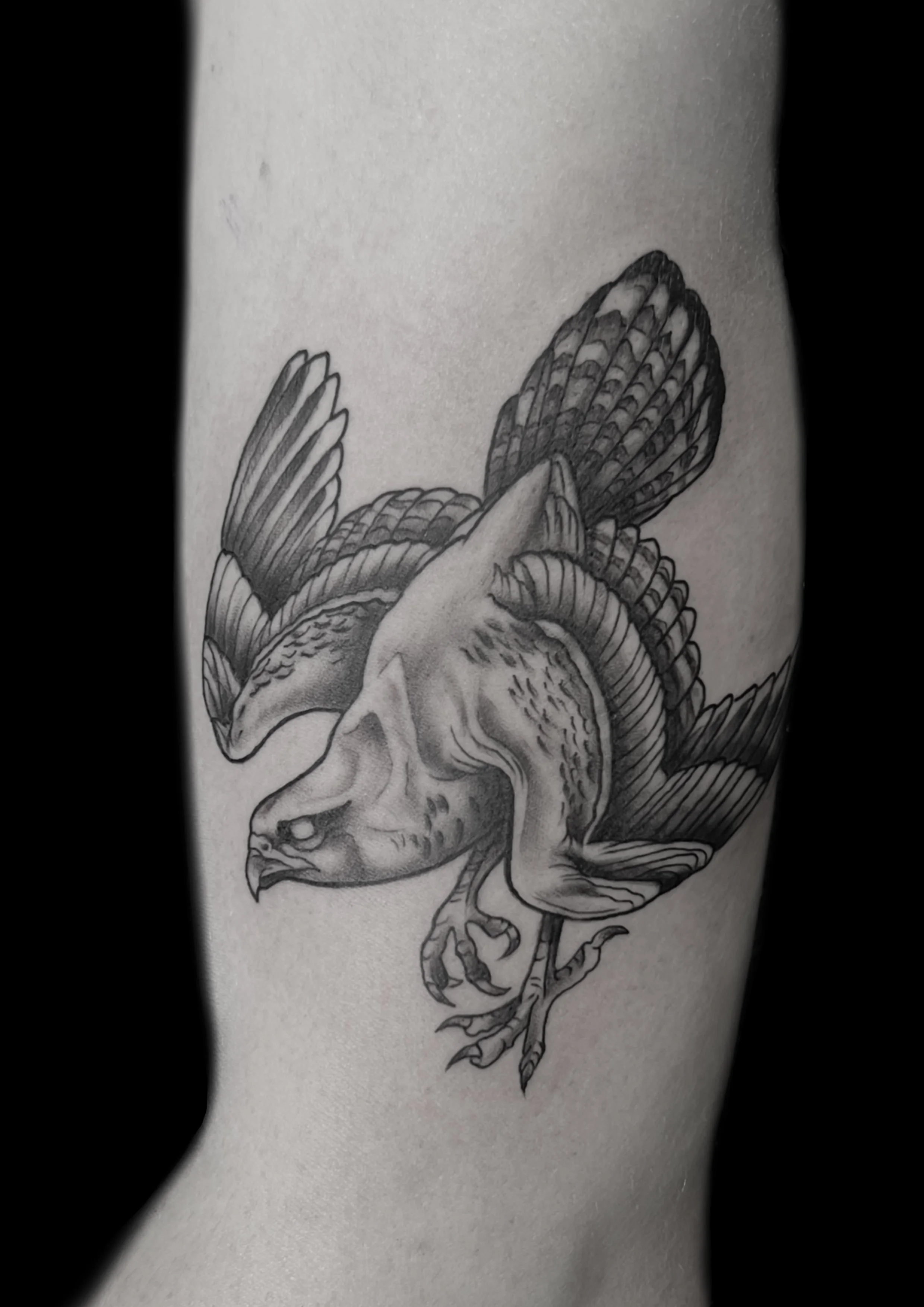 Photo 20.06.2025, 15 34 05.jpeg