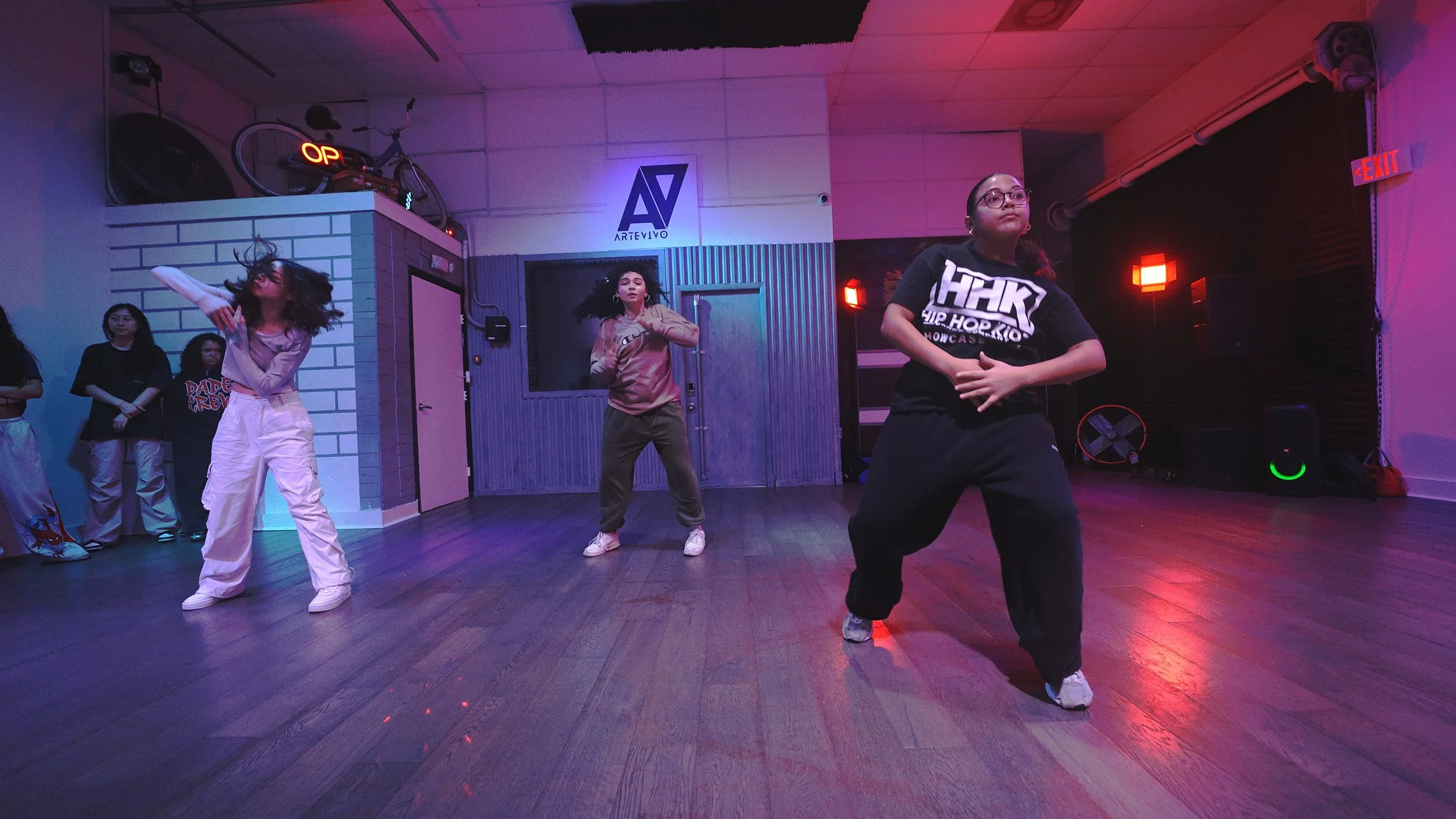 26.04.09 - Group 2 - Lara Farinella - Emergency - Artevivo