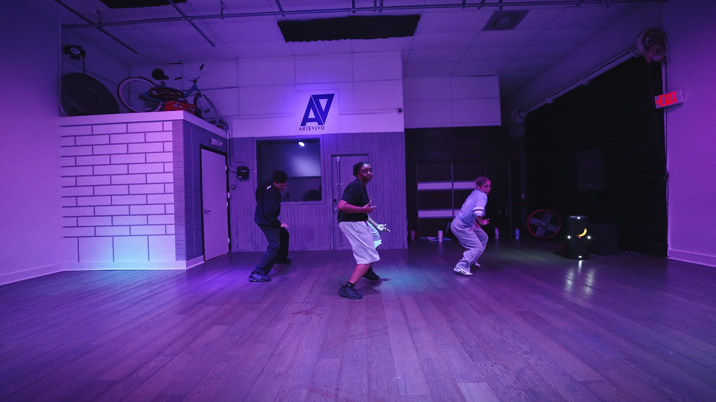 26.03.30 - Group 2 - Bianca - Pongo - Artevivo