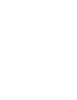 Showboss Productions