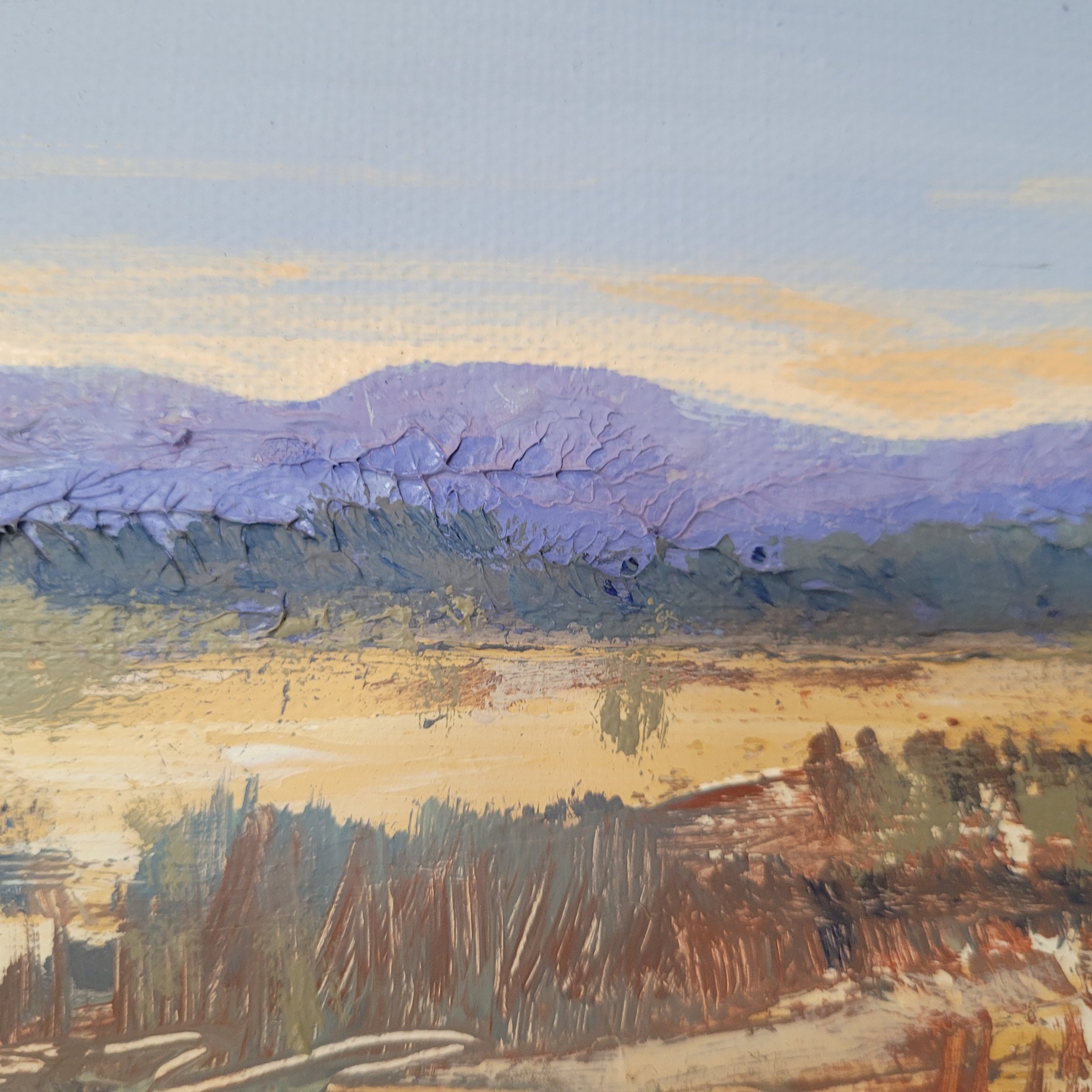 Desert Jewel detail oil painting by Kim Roberts.jpg