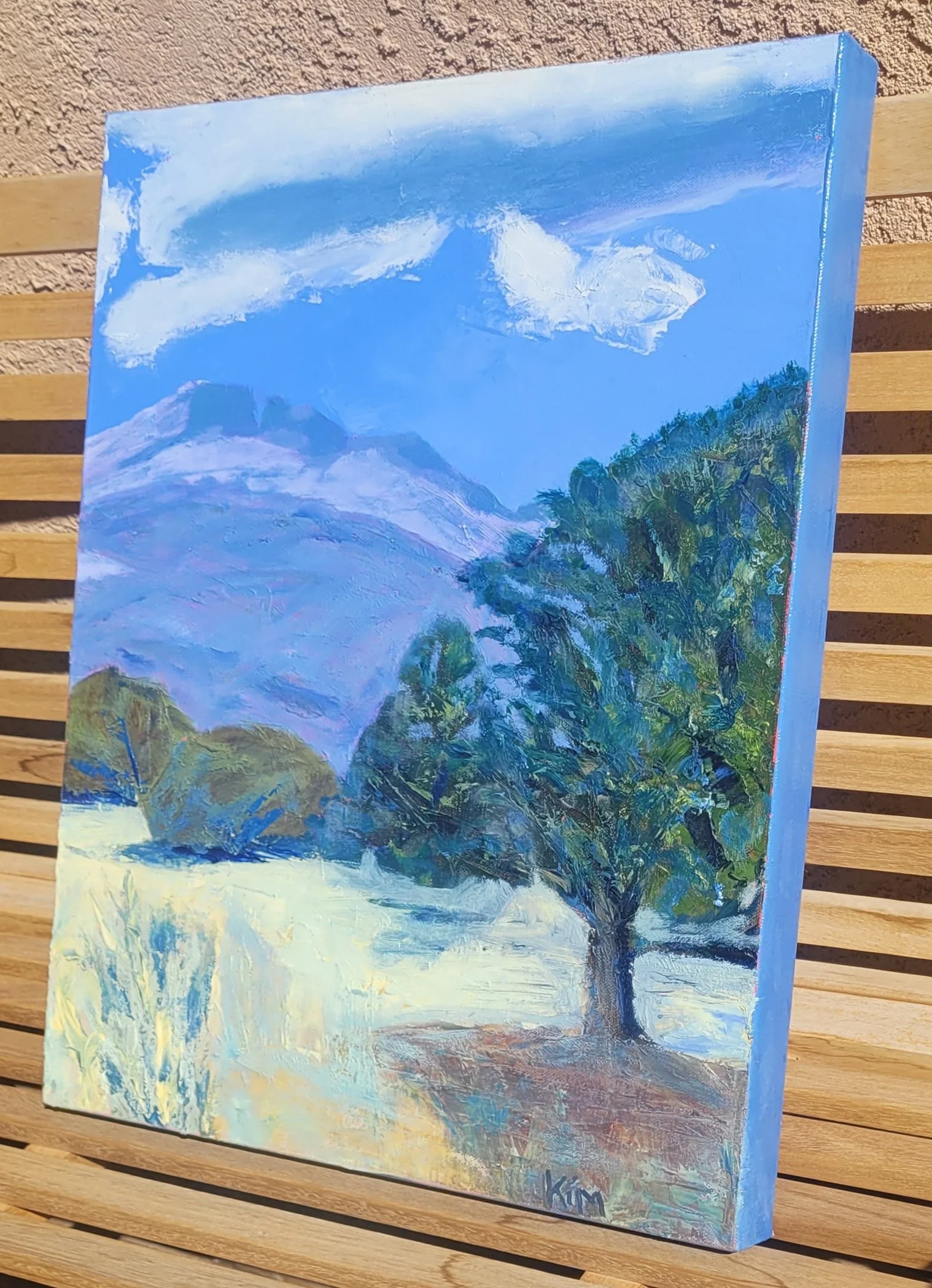 Protector_side view.jpg