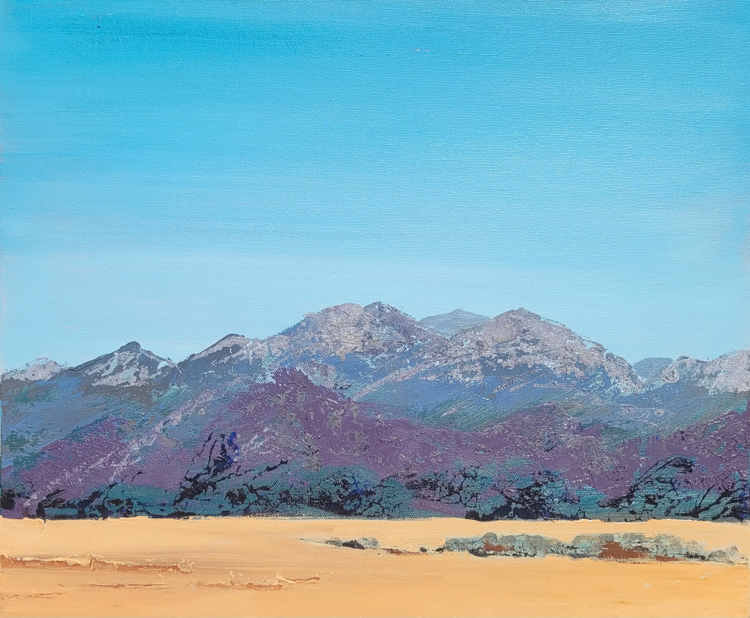 Desert Mountain_oil on canvas_16 x 20 in_1200.jpg