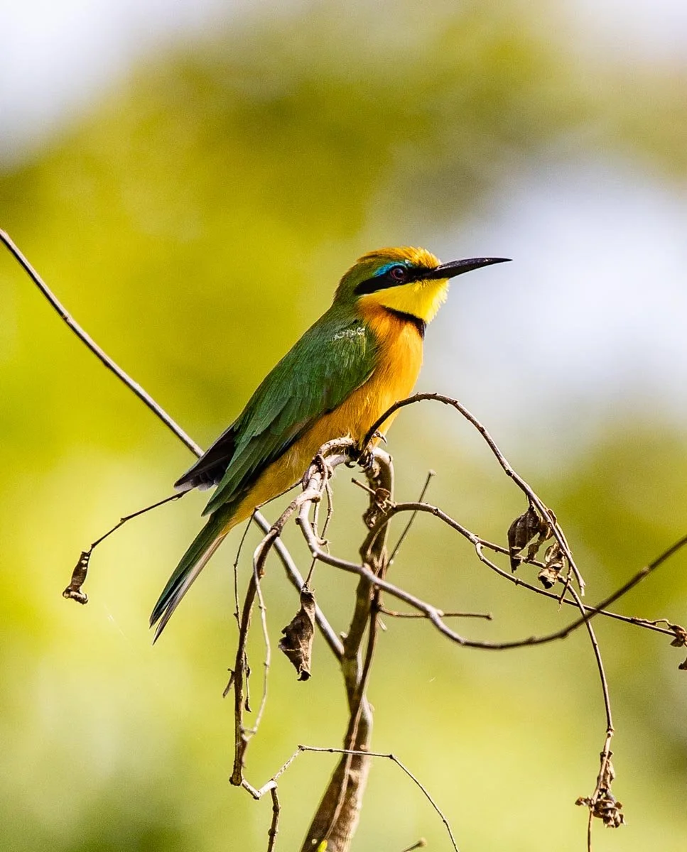 Rubondo Photos-9.jpg