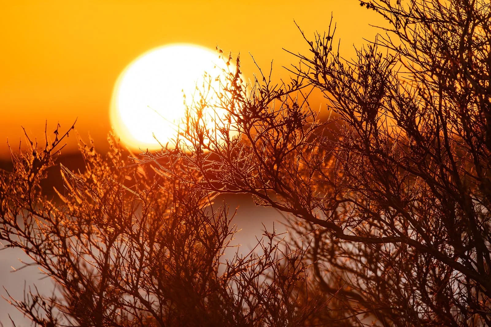 Landscape Portfolio sunset marsh.jpg