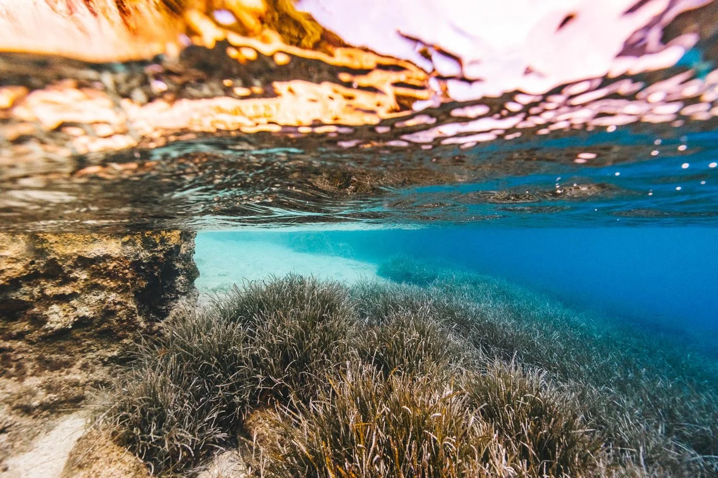 Underwater Desimi-19.jpg