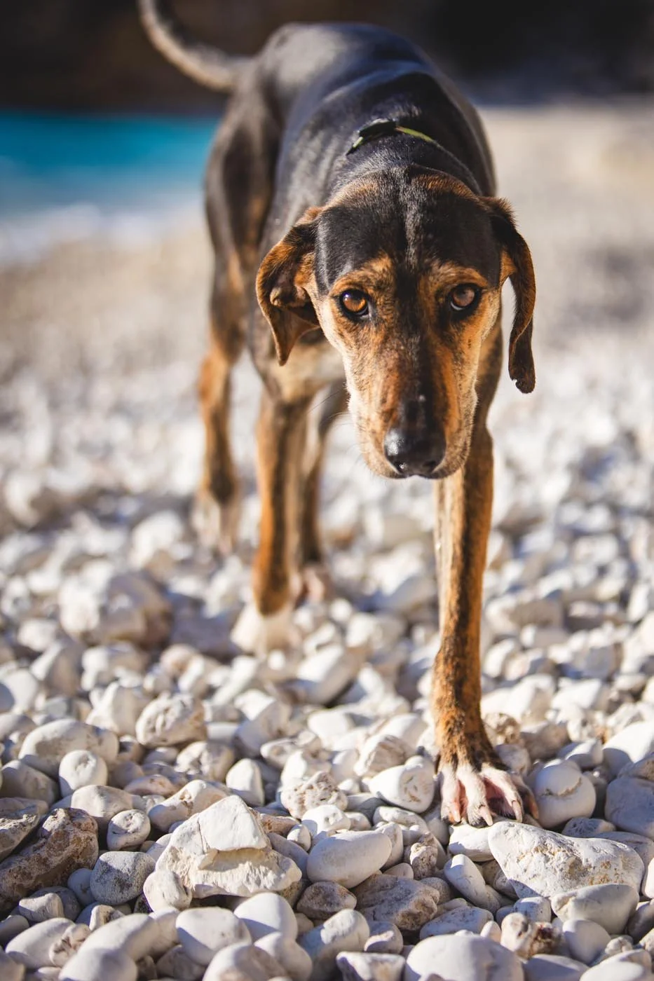 Ivy Agiofili-20 holiday-photography-lefkada.jpg