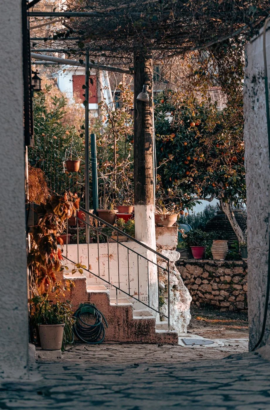 Lefkada Landscape & Coastal Photography Katouna street.jpg