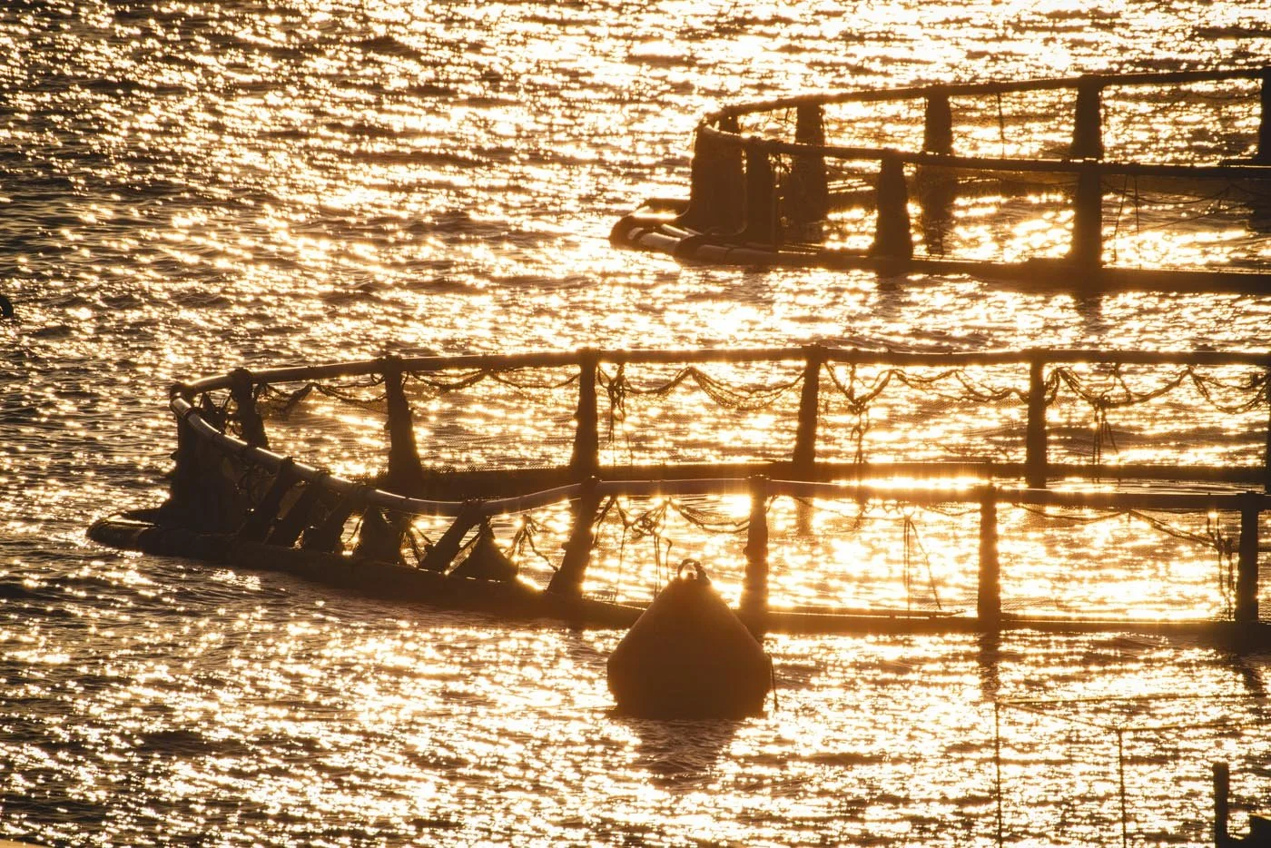 Lefkada Landscape & Coastal Photography Fish farm sunset.jpg
