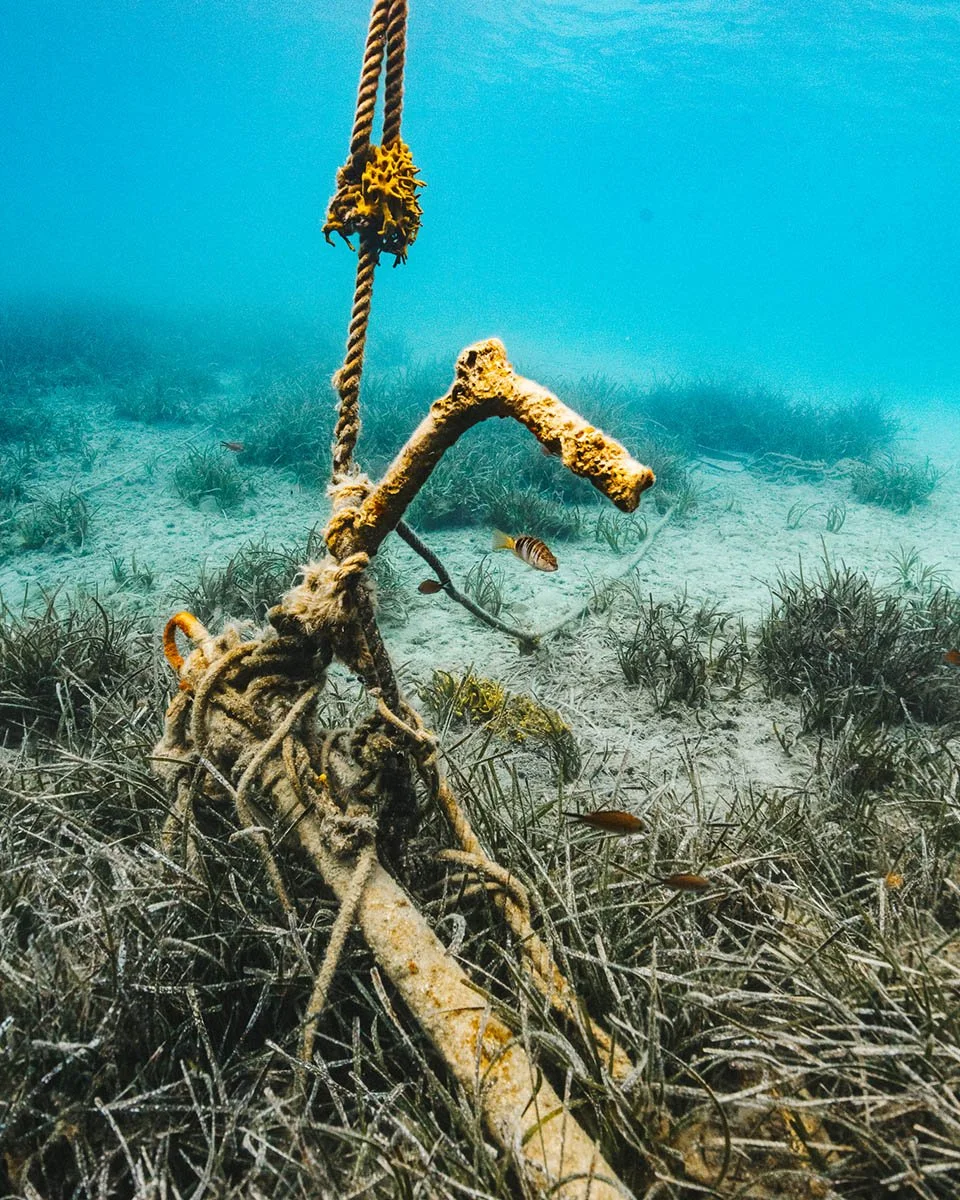 Underwater cinematography showing a yacht anchor damaging Posidonia oceanica seagrass meadows in Lefkada, Greece; a key theme in marine conservation documentary filmmaking.