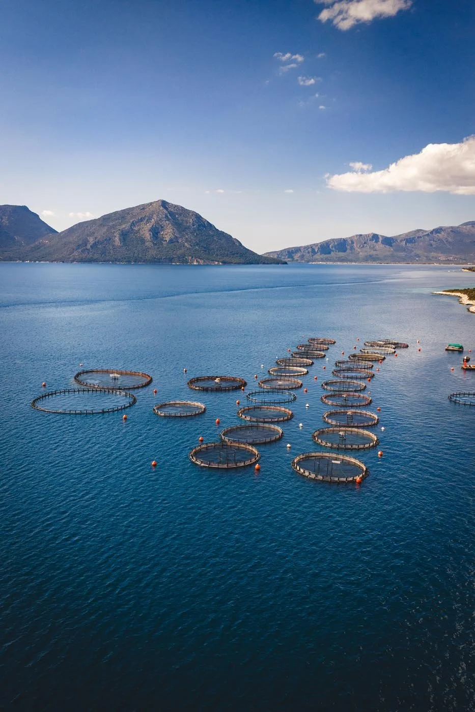 Lefkada Landscape & Coastal Photography fish farm overhead.jpg