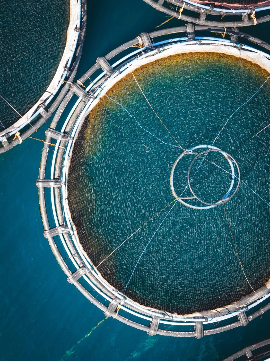 Lefkada Landscape & Coastal Photography Fish farm drone.jpg