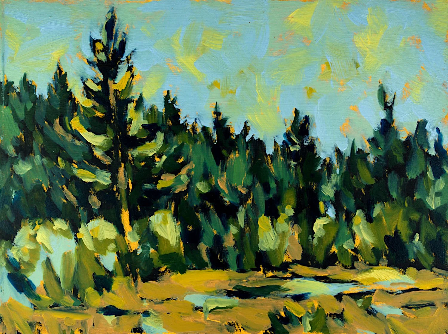  "Pine Near Colonial Adit" , 2024, Oil on Masonite, 9 x 12 inches 