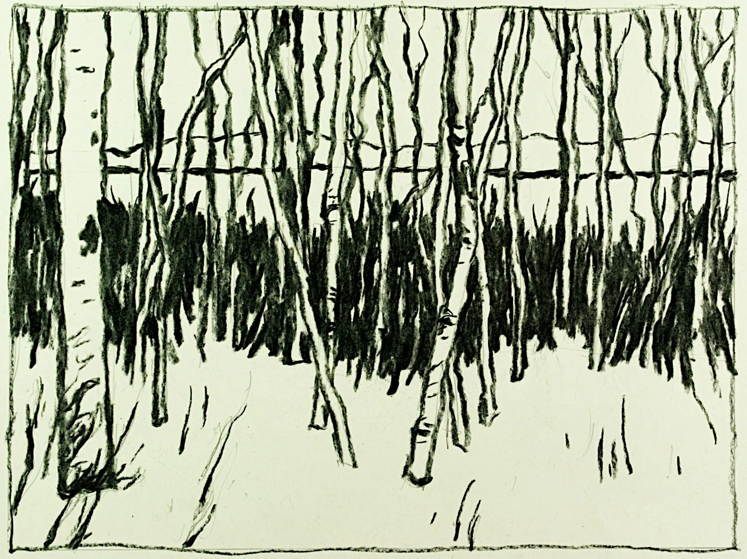  "Forest Near Lake Temiskaming" , 2023, Charcoal on Paper, 7 1/2 x 10 inches 