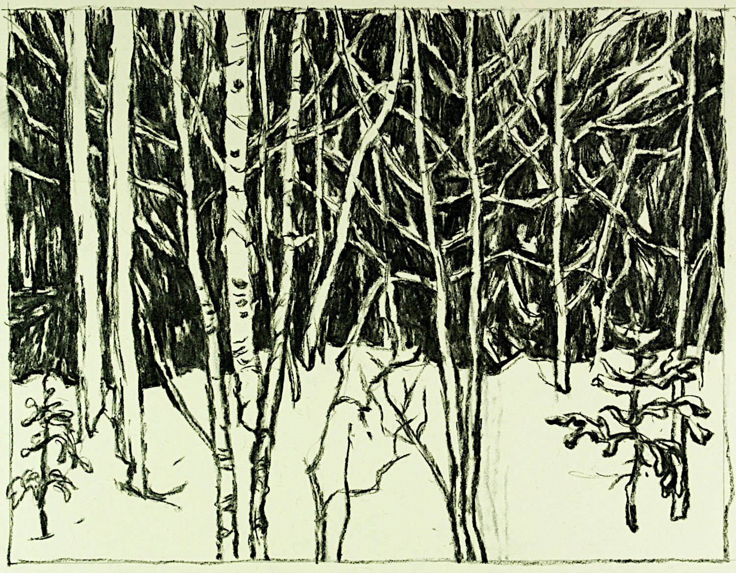  "Snow Forest Near Nova Scotia Mine" , 2024, Charcoal on Paper, 7 x 9 inches