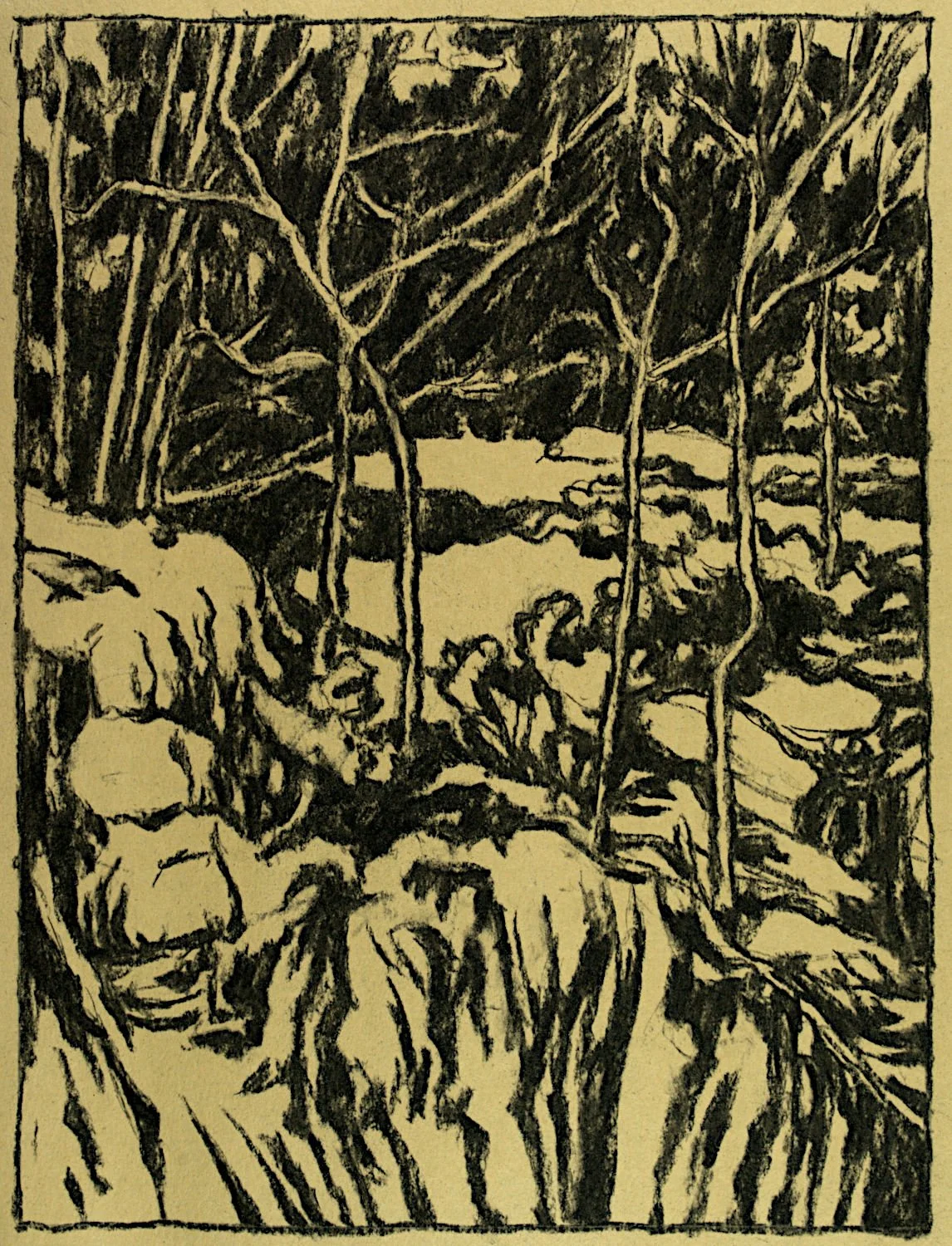  "Rocks and Forest Near The Nipissing Mine" , 2024, Charcoal on Paper, 7 x 9 inches 