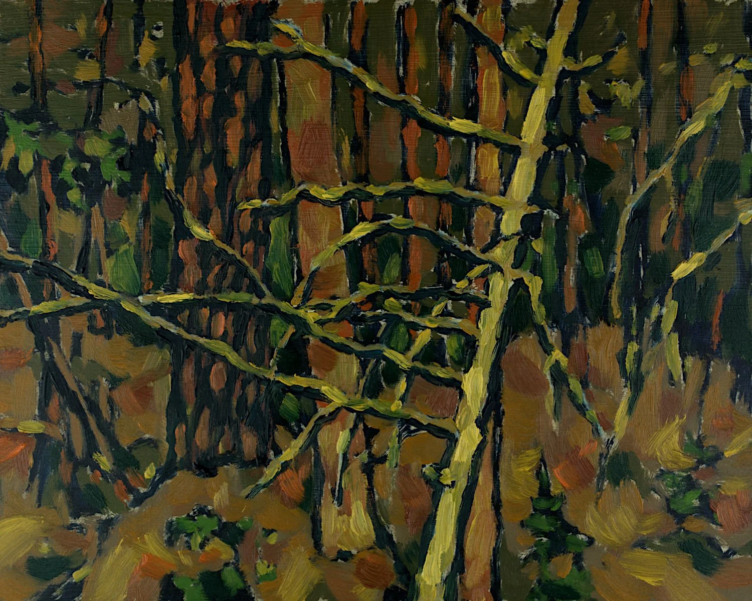  "Pine Forest Near Colonial Mine" , 2023, Oil on Masonite, 8 x 10 inches