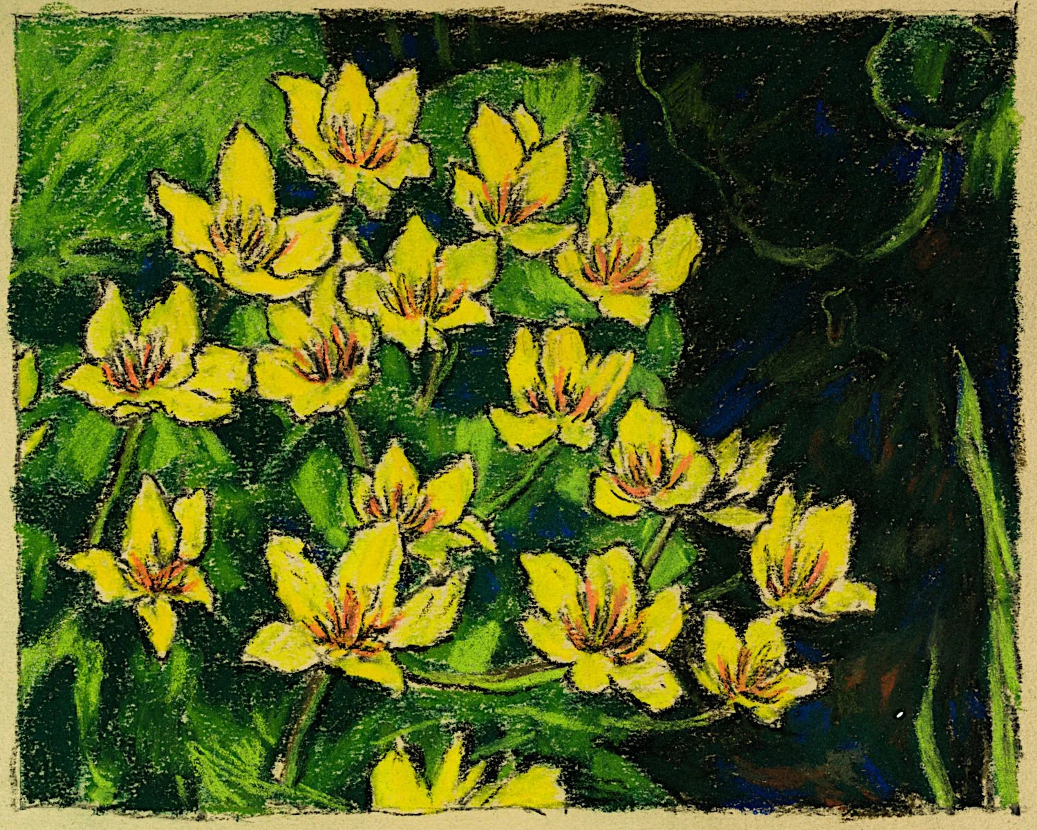  "Marsh Marigolds Near Quarry Road" , 2025, Pastel on Paper, 7 x 8 3/4 inches 