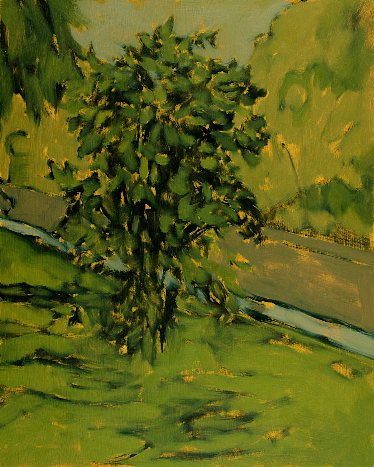  "Bush on Rorke St." , 2023, Oil on Masonite, 10 x 8 inches 