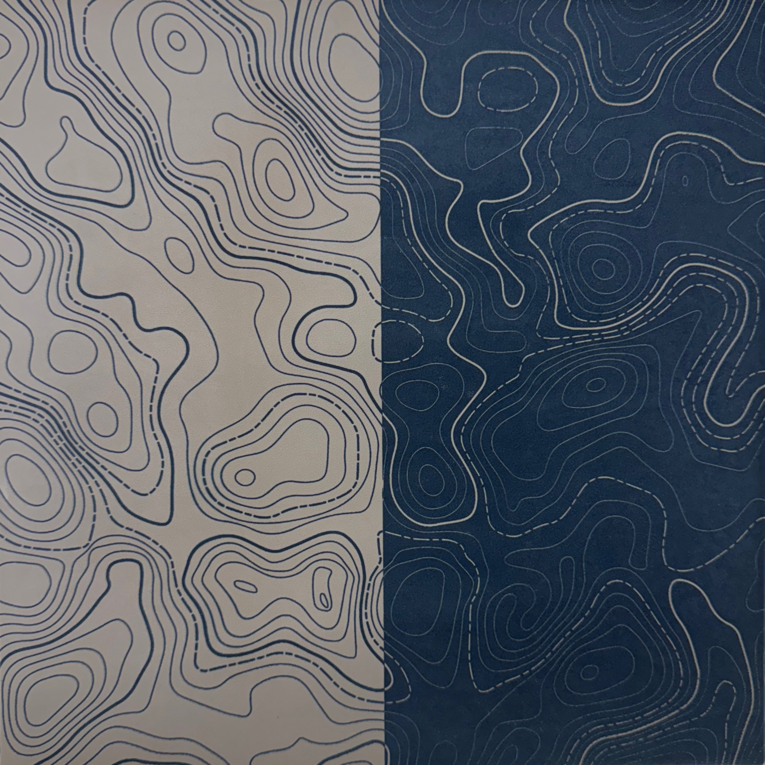 fde topo split.jpeg