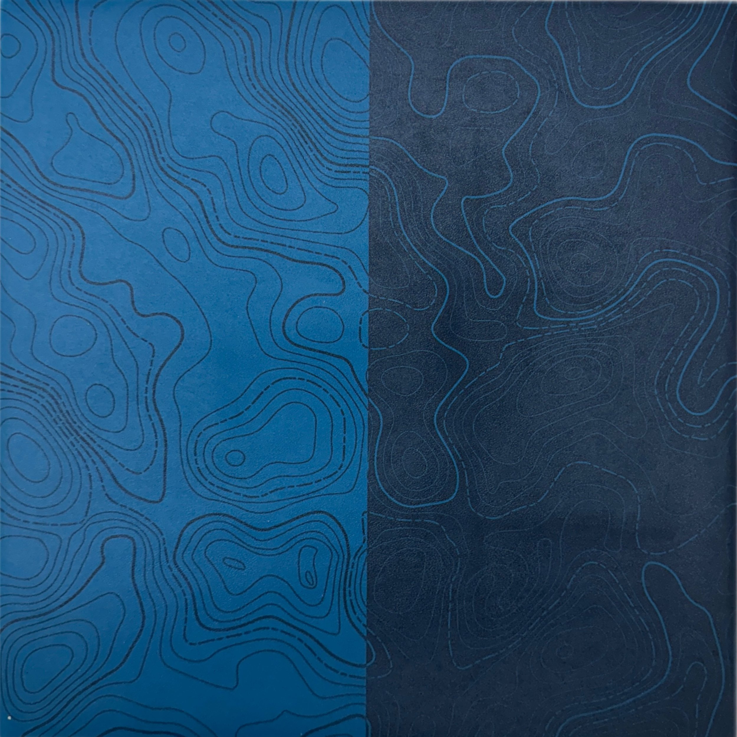 jade blue topo split.jpeg