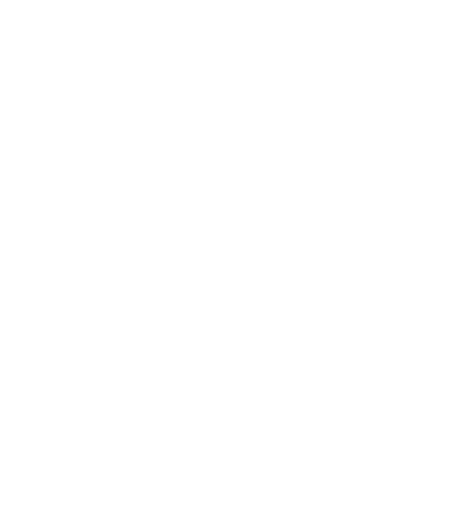 Lindsey Wallace Studio