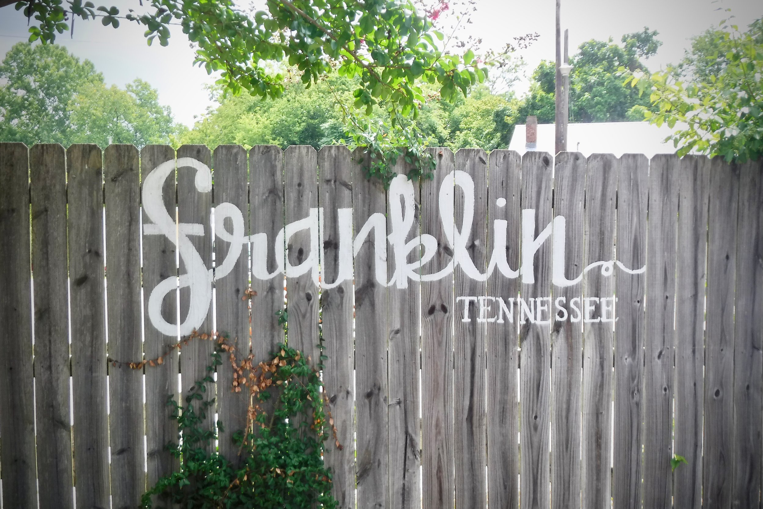 109-HannahSchrupp-FranklinFence.jpeg