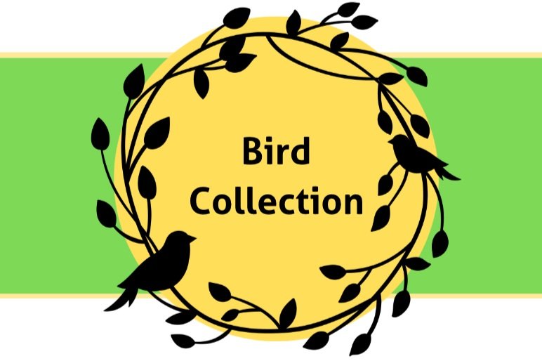 bird-collection-label-card-set-av.jpg