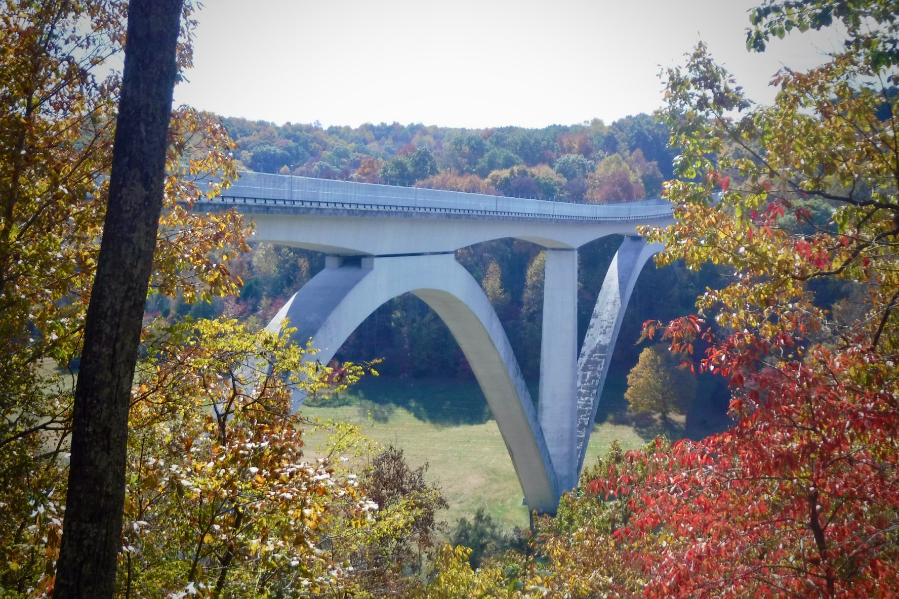 127-Hannah-Natchez-bridge.jpeg