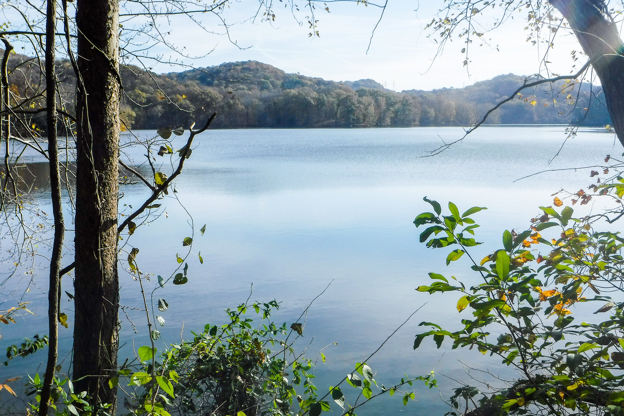 12-BryantWelch-RadnorLake.jpg