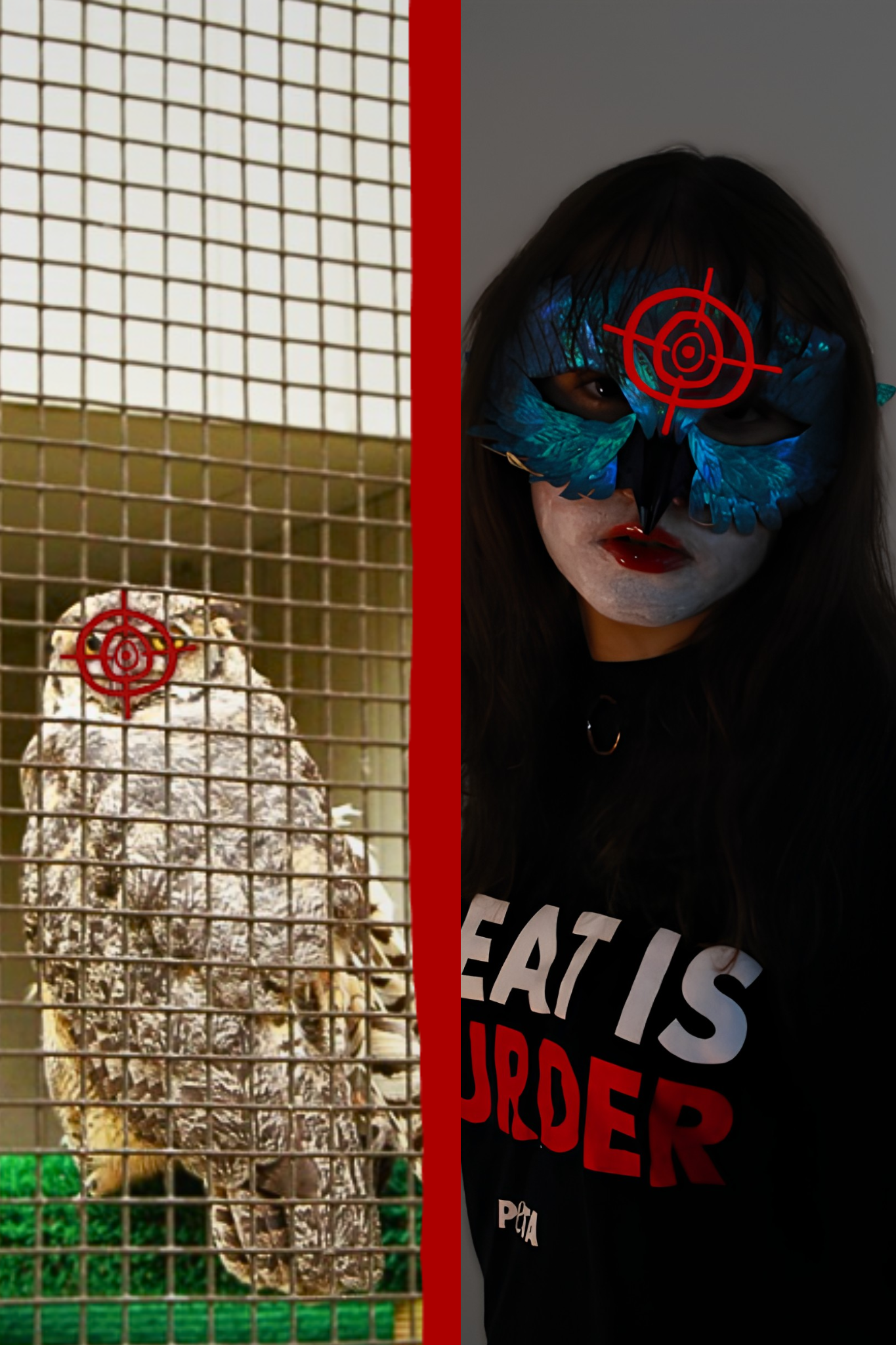 Owl V. Human.png