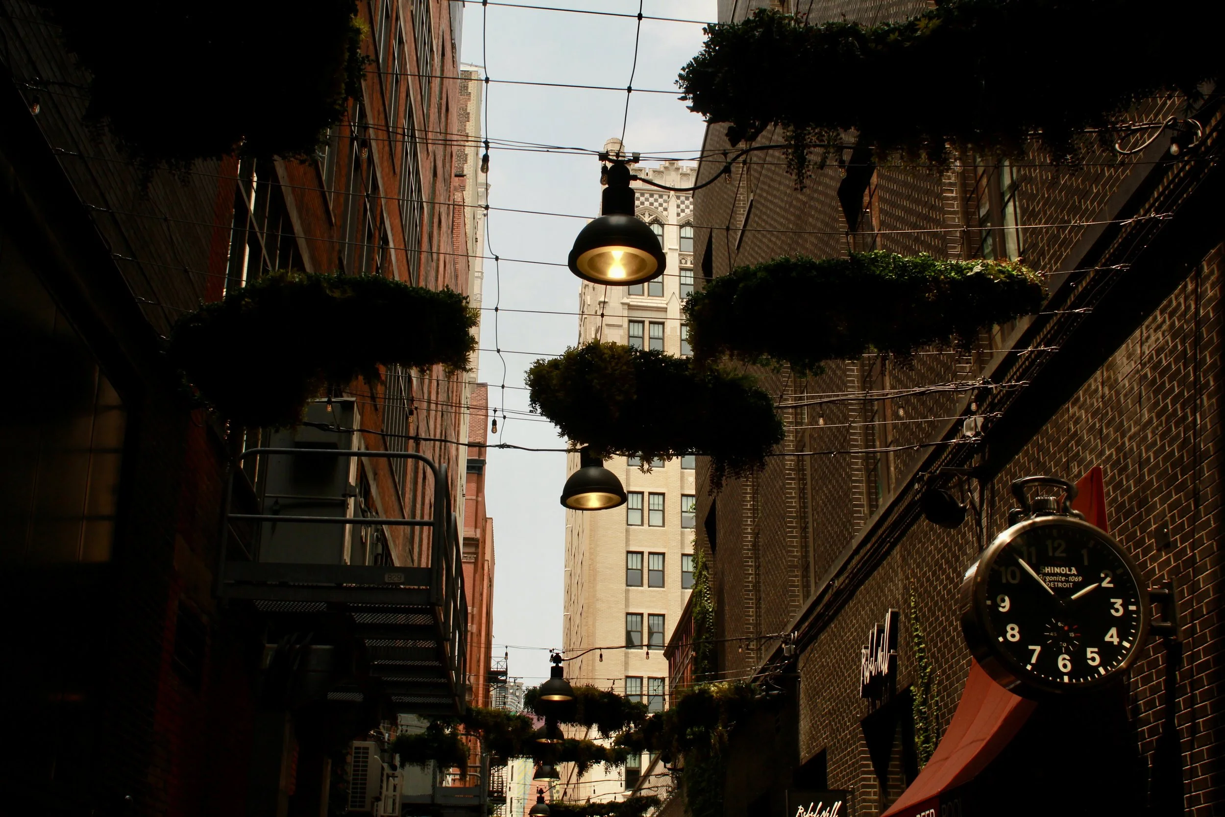 IMG_8292.JPG