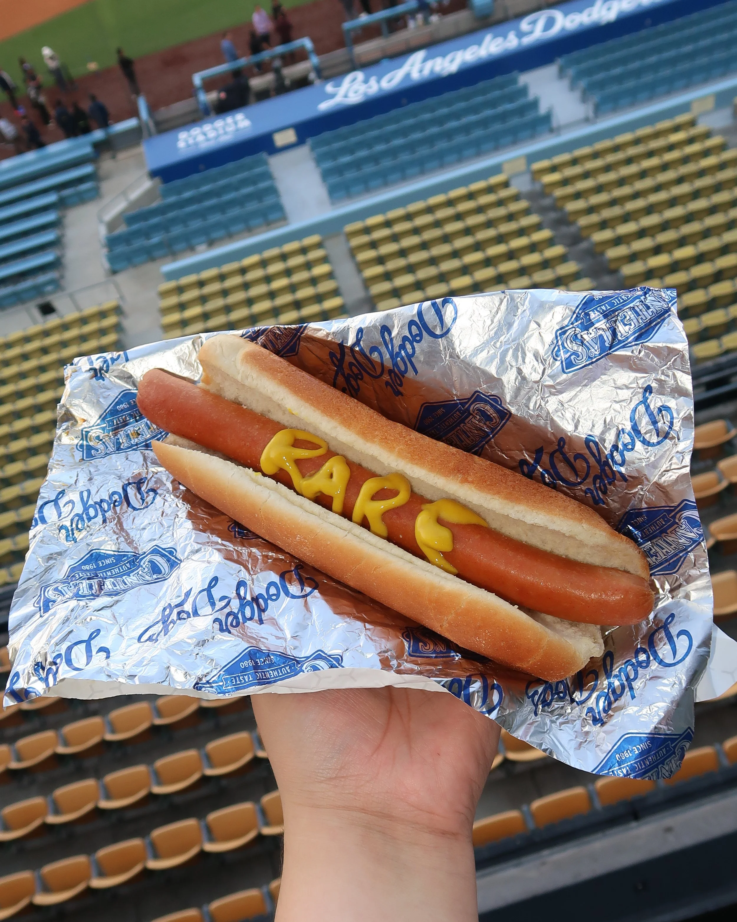 RARE DODGER DOG.JPG