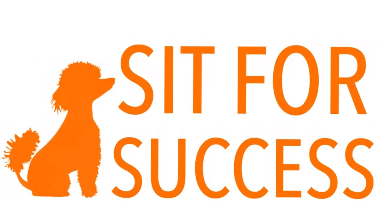 Sit For Success Dog Training