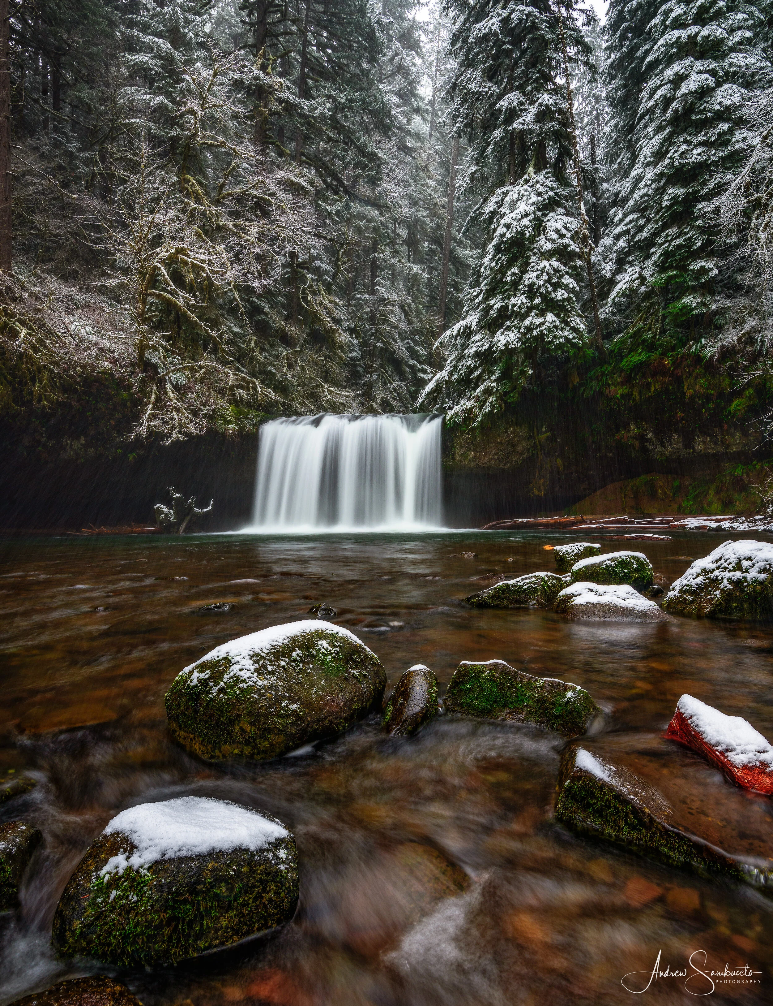 A snowy forest with a small waterfall flowing into a rocky stream surrounded by snow-covered trees and rocks.
