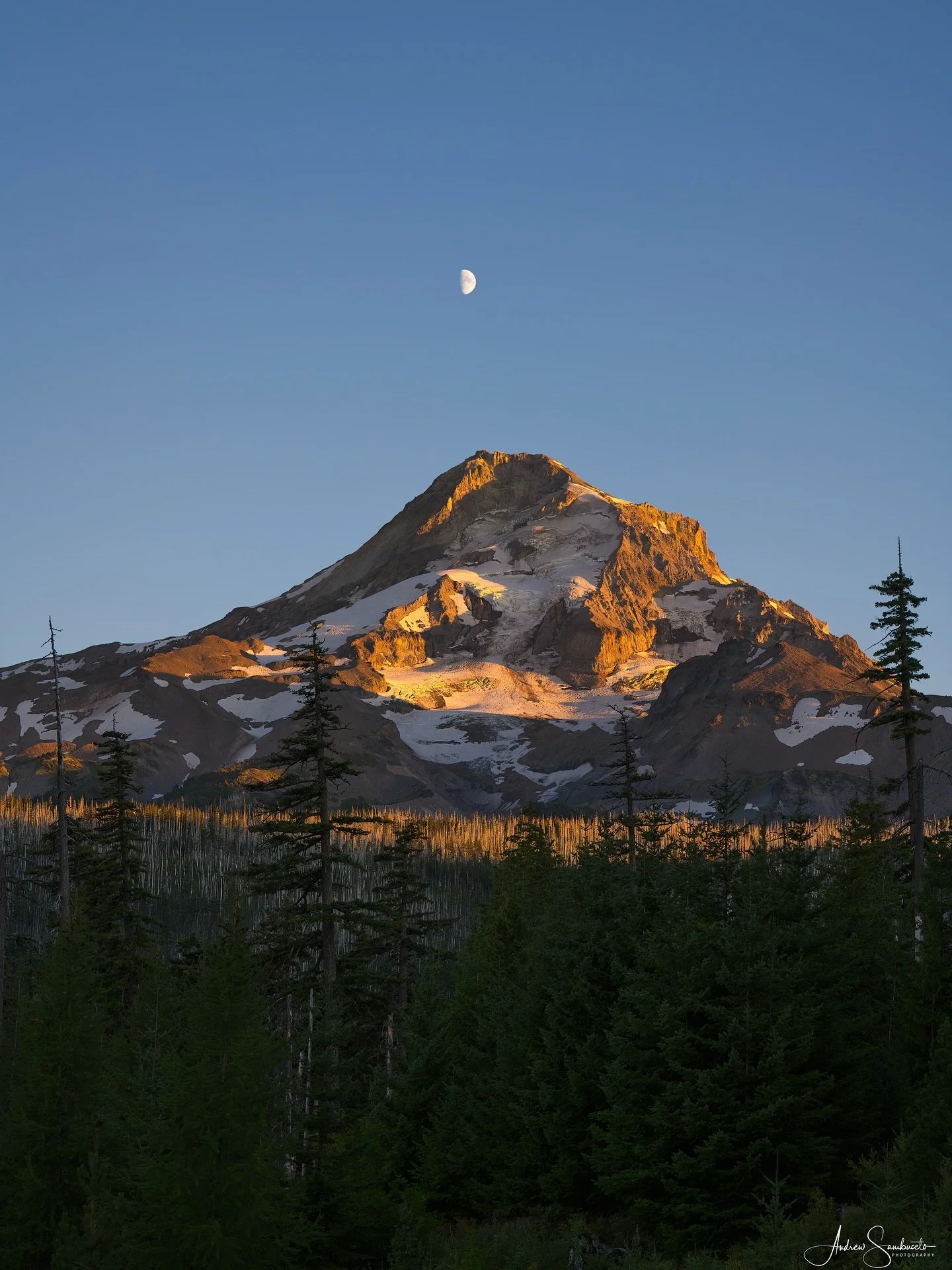 Last nights sunset with Mt. Hood and the moon!
.
.
.
#sunsets #mthoodnationalforest #mthood #landscape_captures #cascadiaexplored #wonderfuloregon #worldshares #nikon #1859oregon #traveloregon