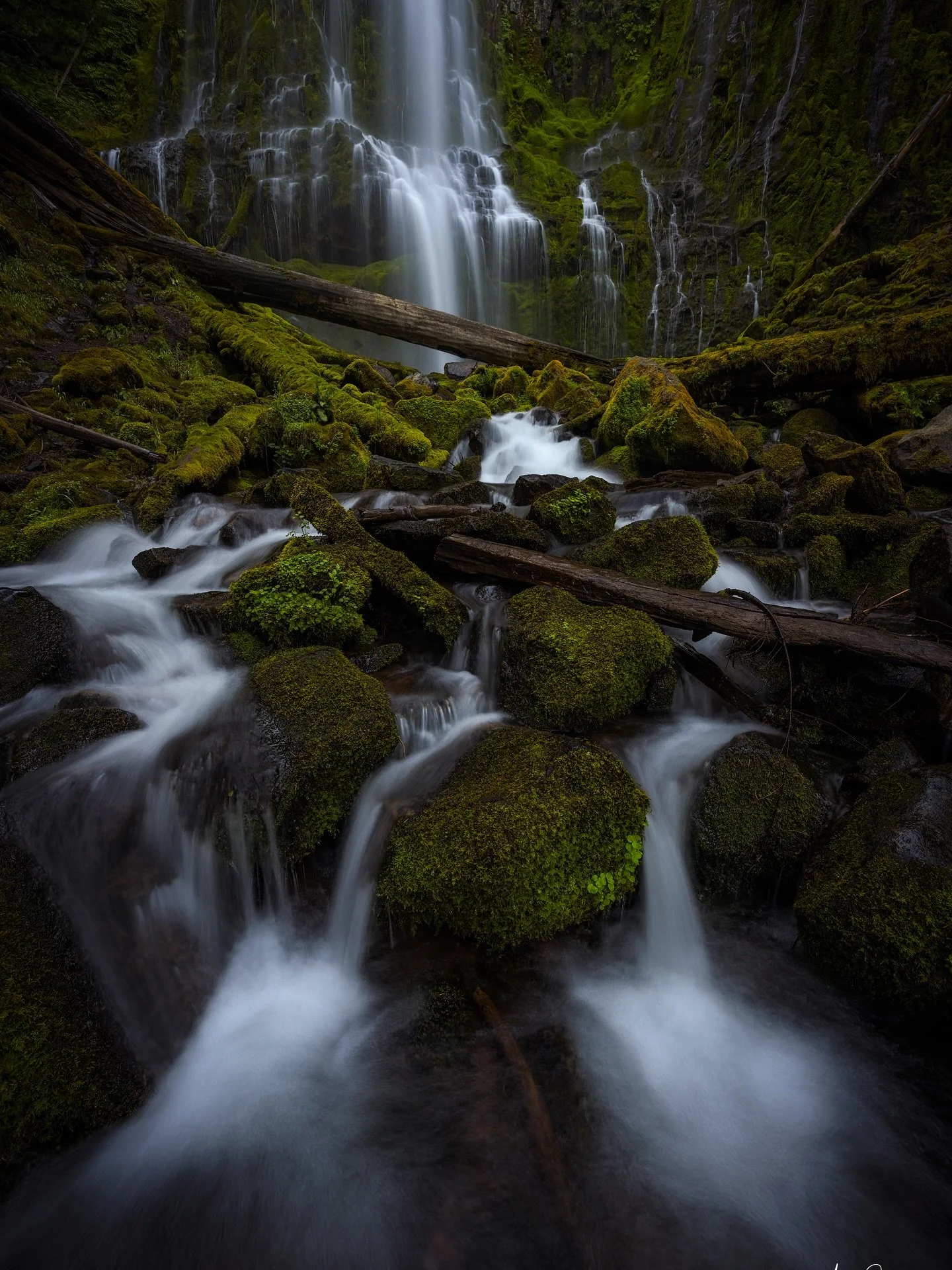 Early morning trip to Proxy Falls!

@jones.pnw and I had the whole place to ourselves. 
.
.
.
#oregon #oregonisbeautiful #cascadiaexplored #pnw #pnwdiscovered #pnwlife #1859oregon #traveloregon #nikon #mavenfilters #waterfalls #waterfall #moody #ig_s