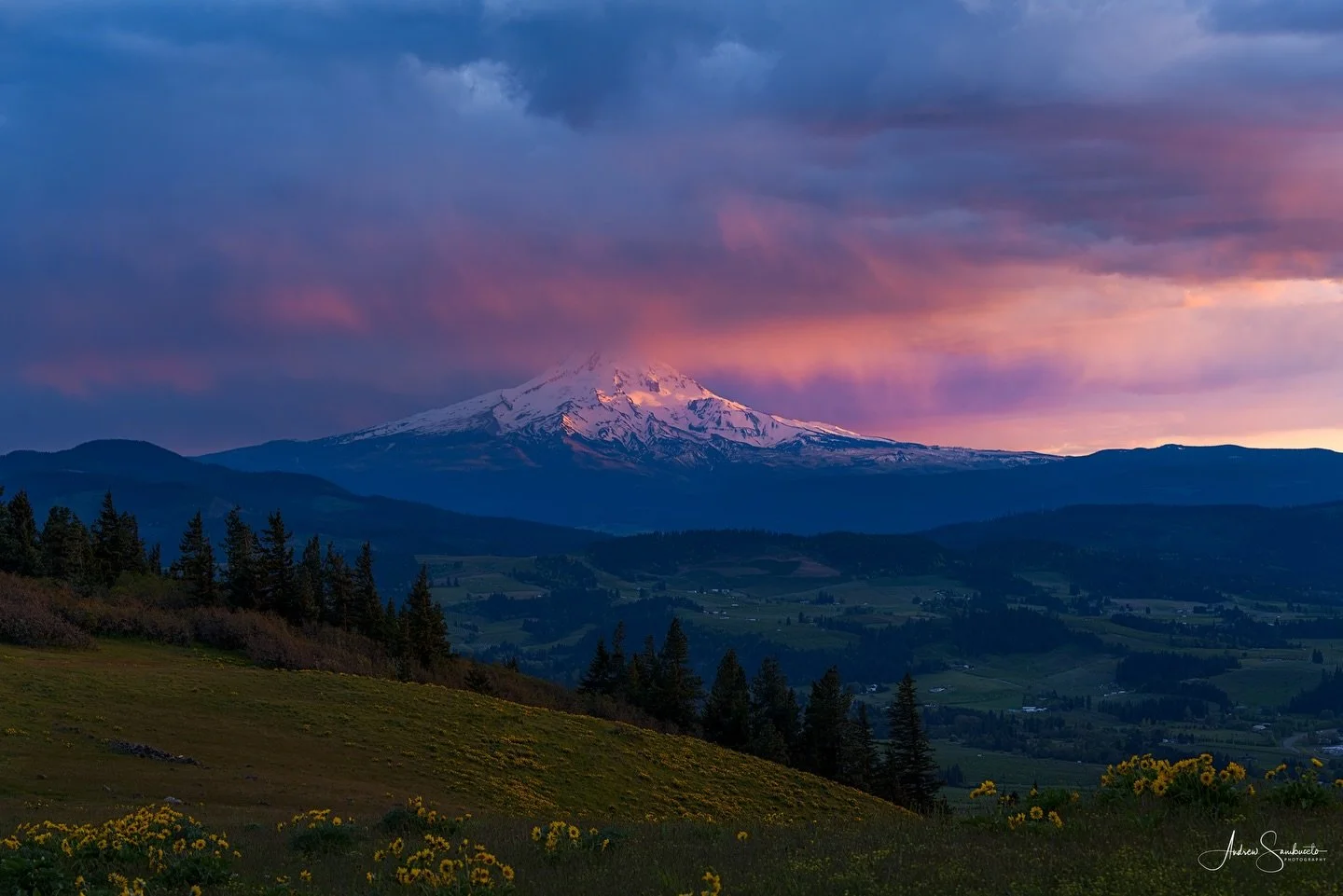 Mt. Hood at sunset with the wildflowers. 
#wildflowers #cascadiaexplored #mthood #mavenfilters #nikon