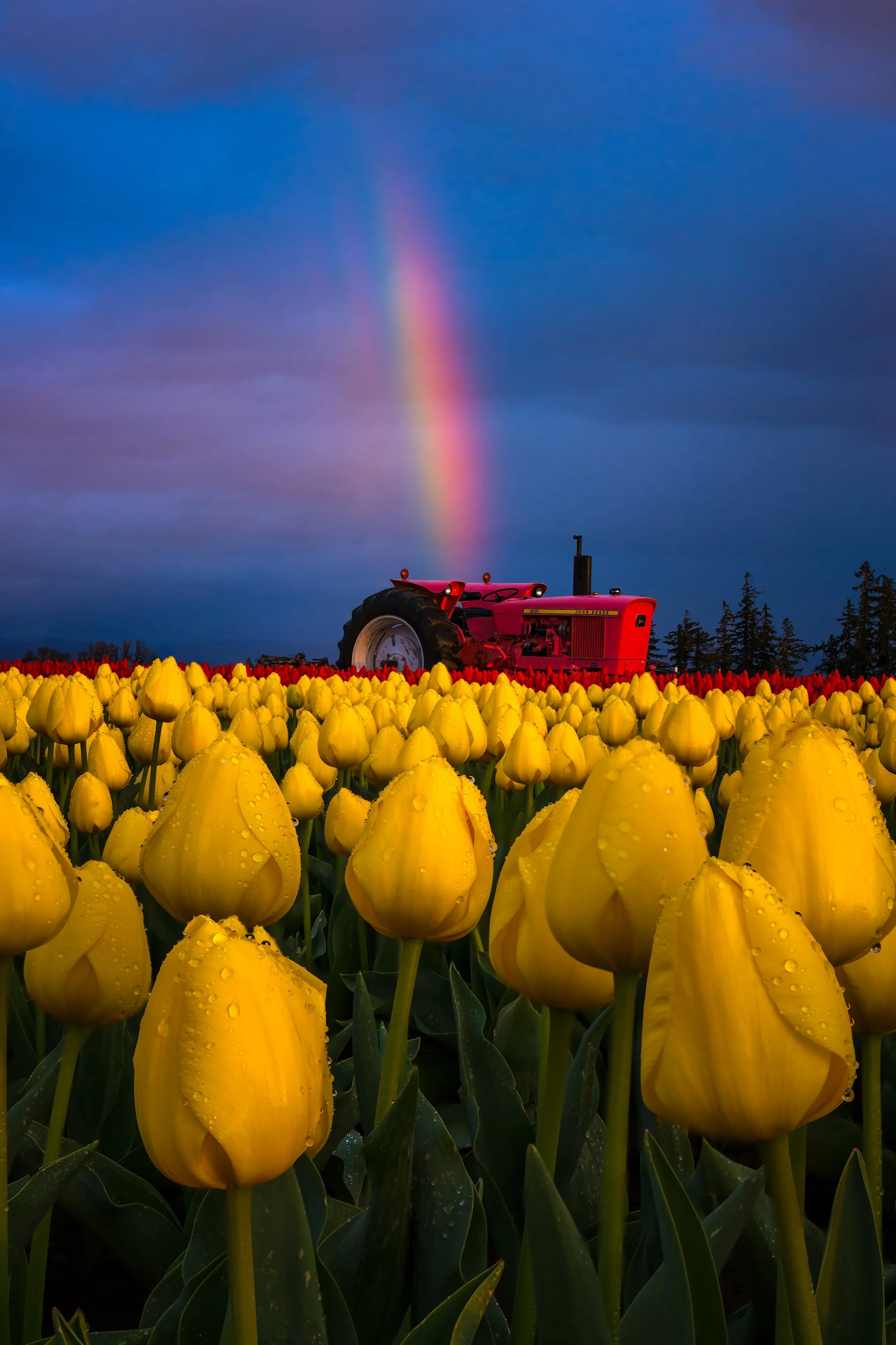 "Tractors and Rainbows" - Fine Art Print - Open Edition