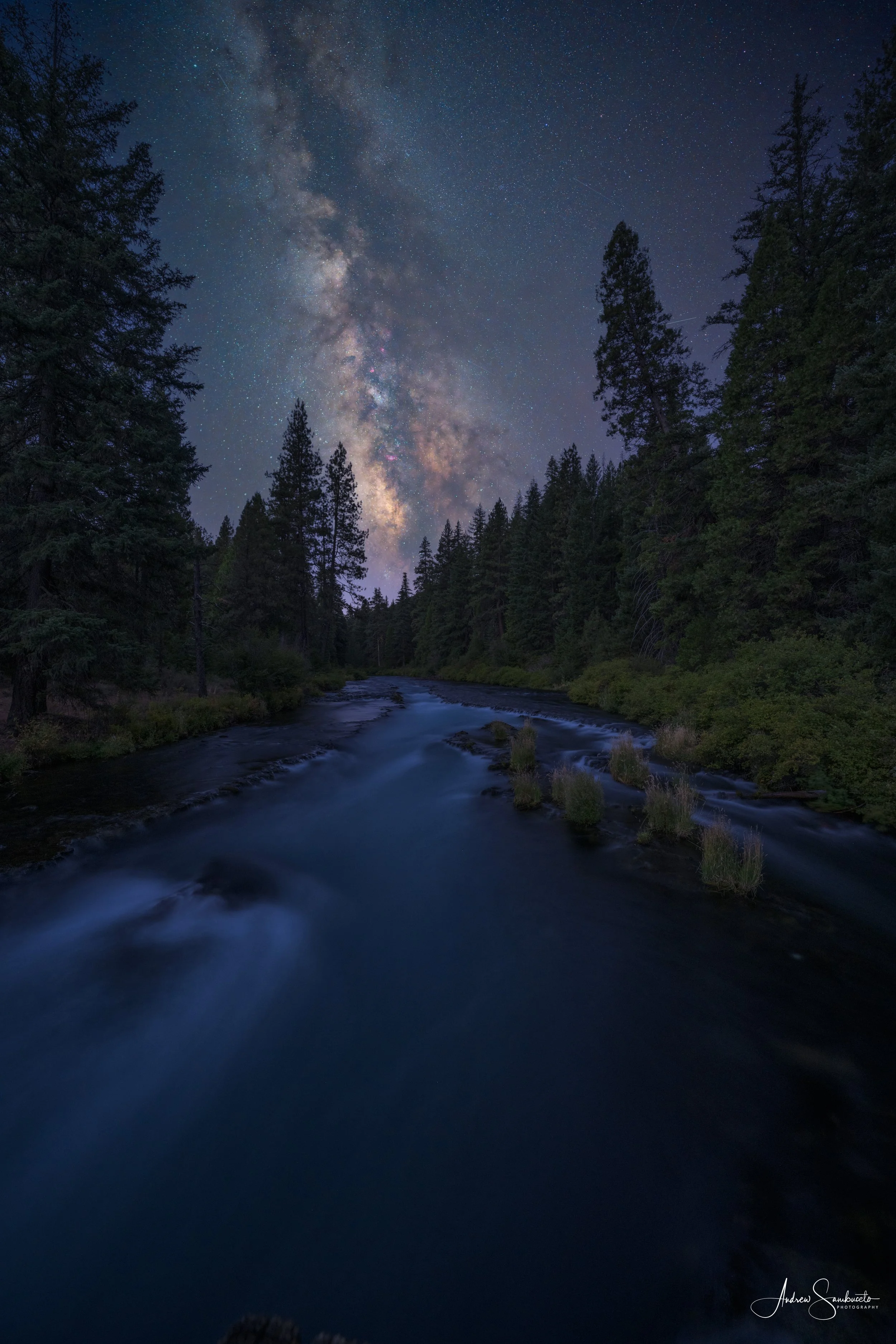 Nighttime landscape of a river flowing through a forest with tall pine trees, under a clear starry sky illuminated by the Milky Way galaxy.