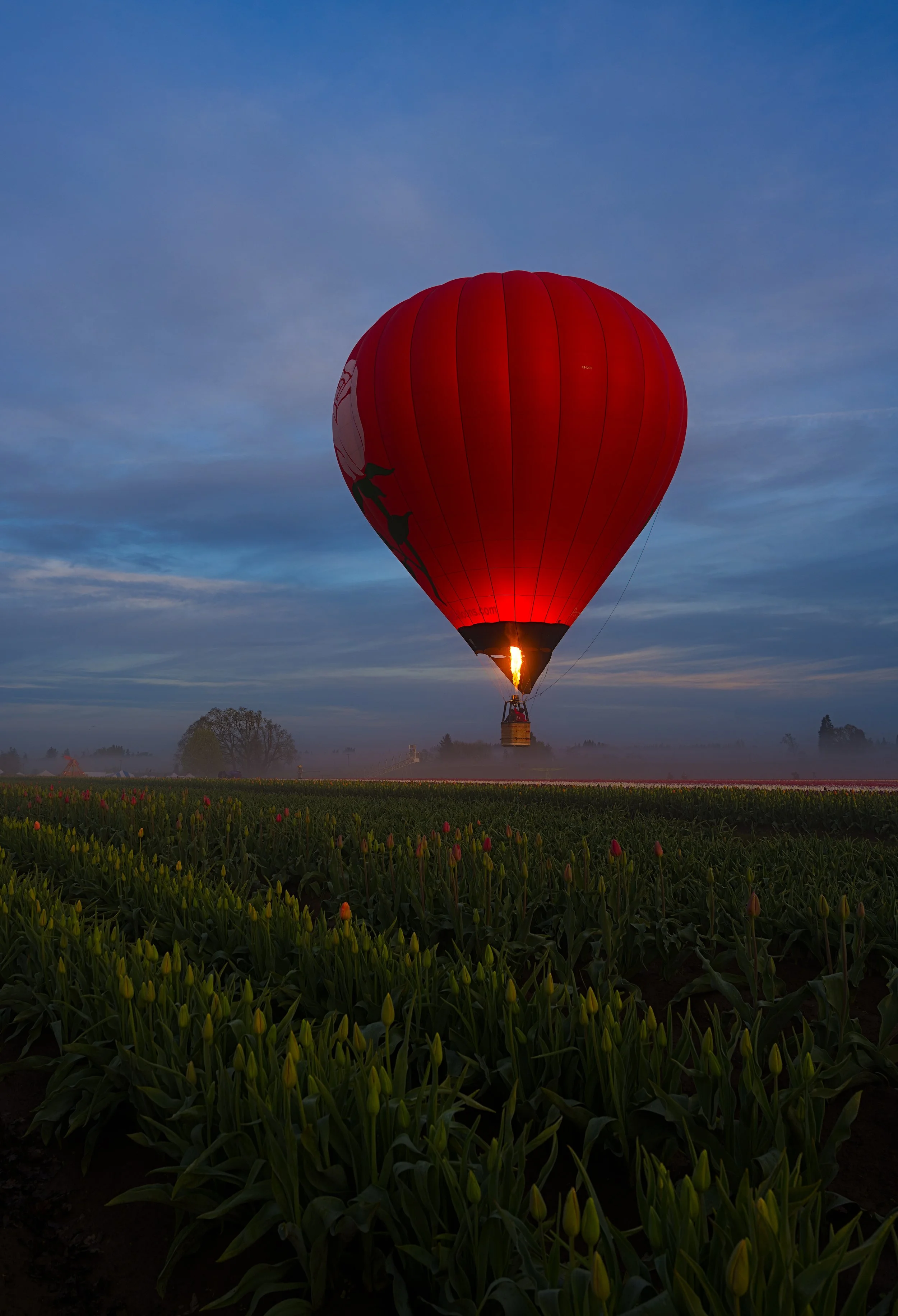 A red hot air balloon floating above a field of green plants during dawn or dusk, with the flame visible inside the balloon.