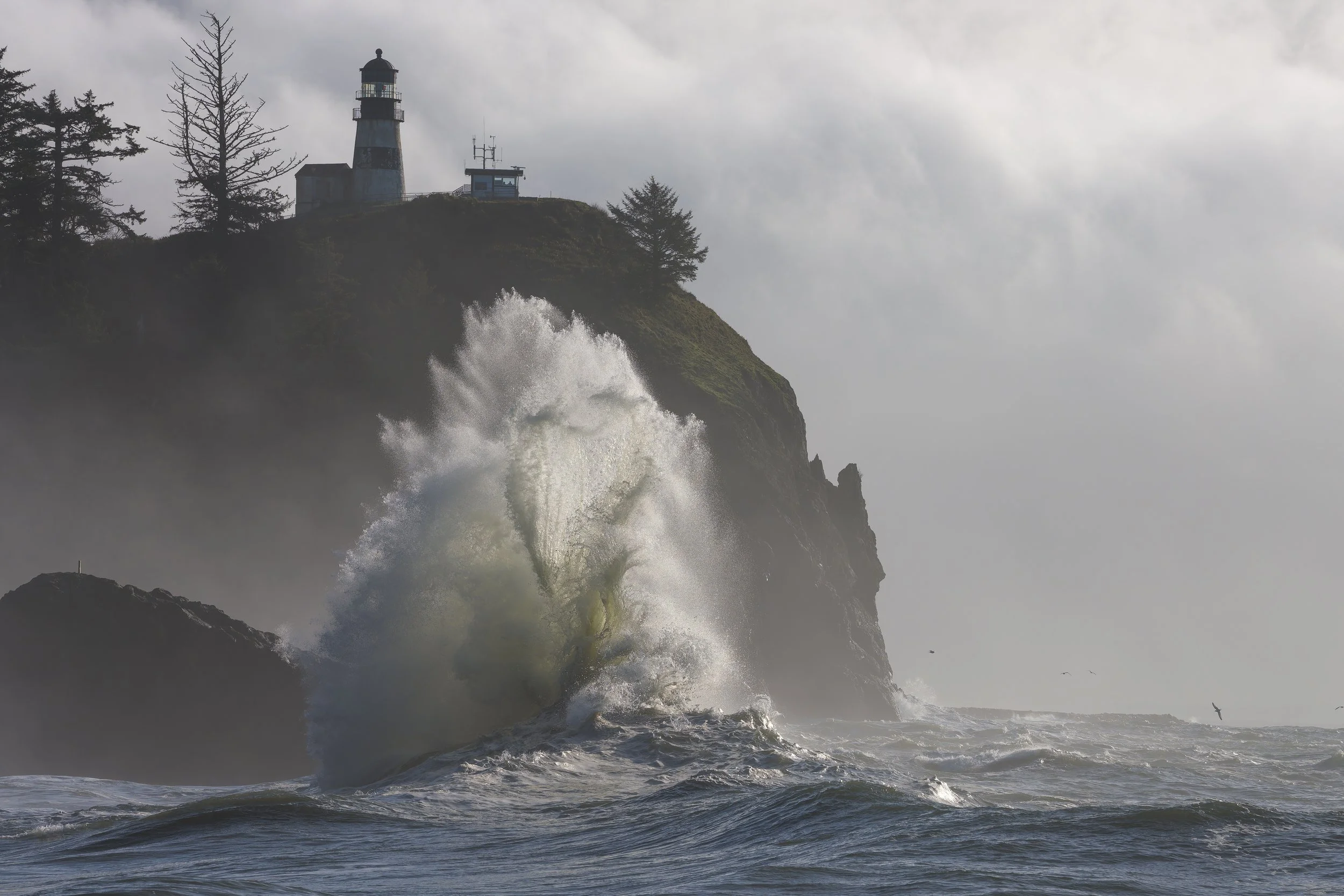 A lighthouse on a cliff with large ocean waves crashing below, overcast sky, and trees on the hill.