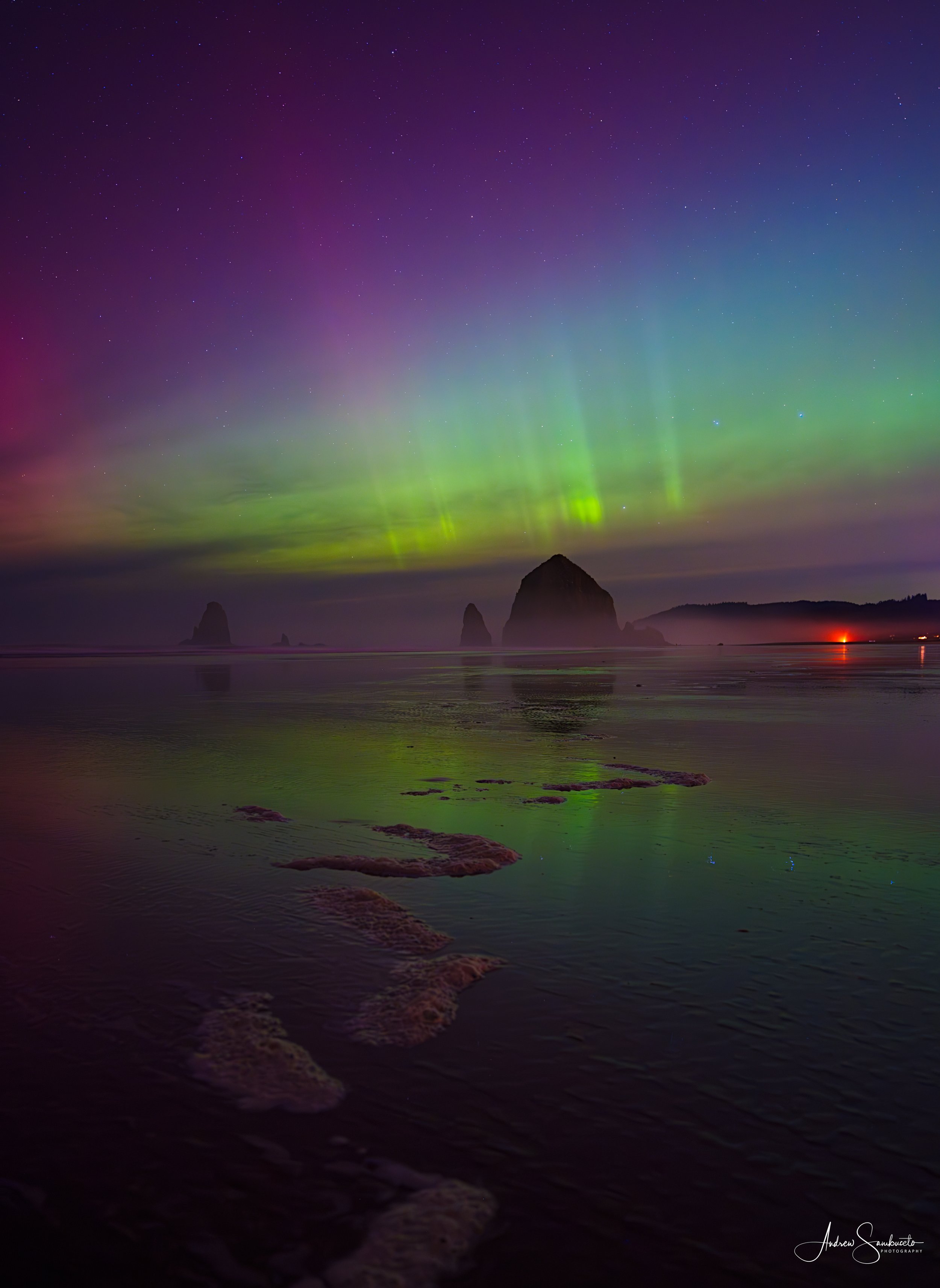 Aurora borealis over a rocky shoreline at night with palm trees reflected in the water.