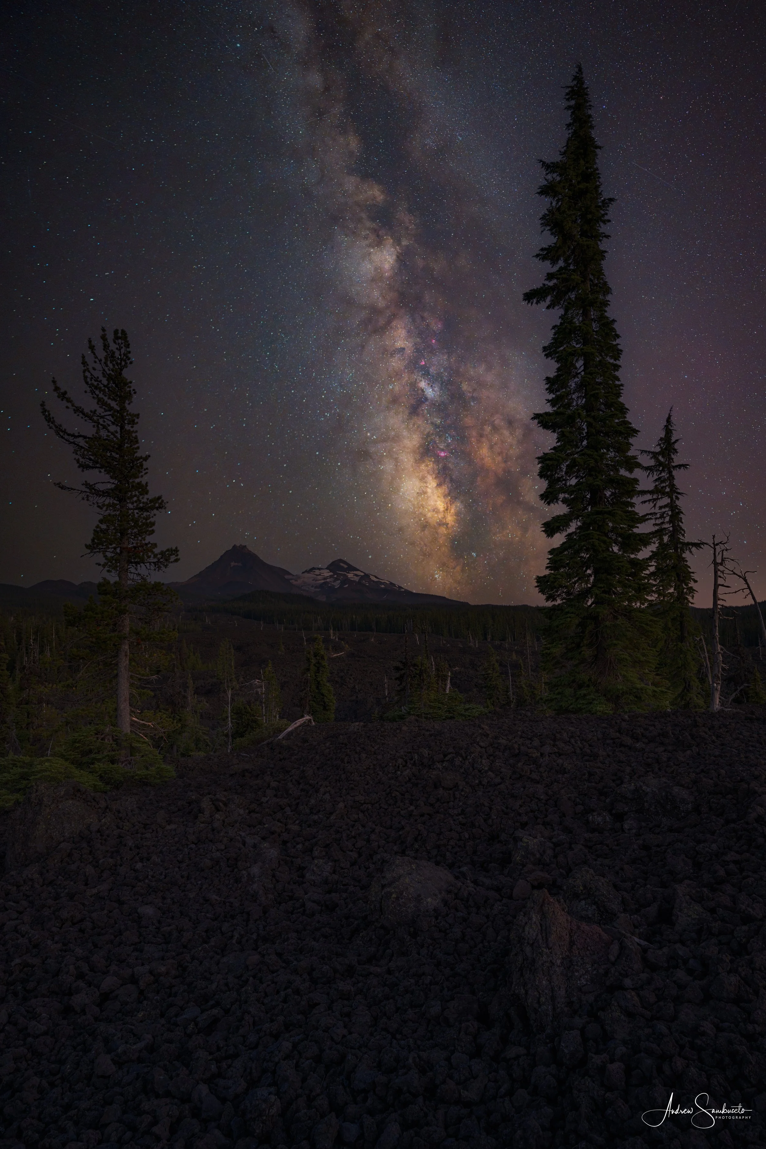 Night sky filled with stars and the Milky Way galaxy over a landscape with tall trees and mountain peaks.