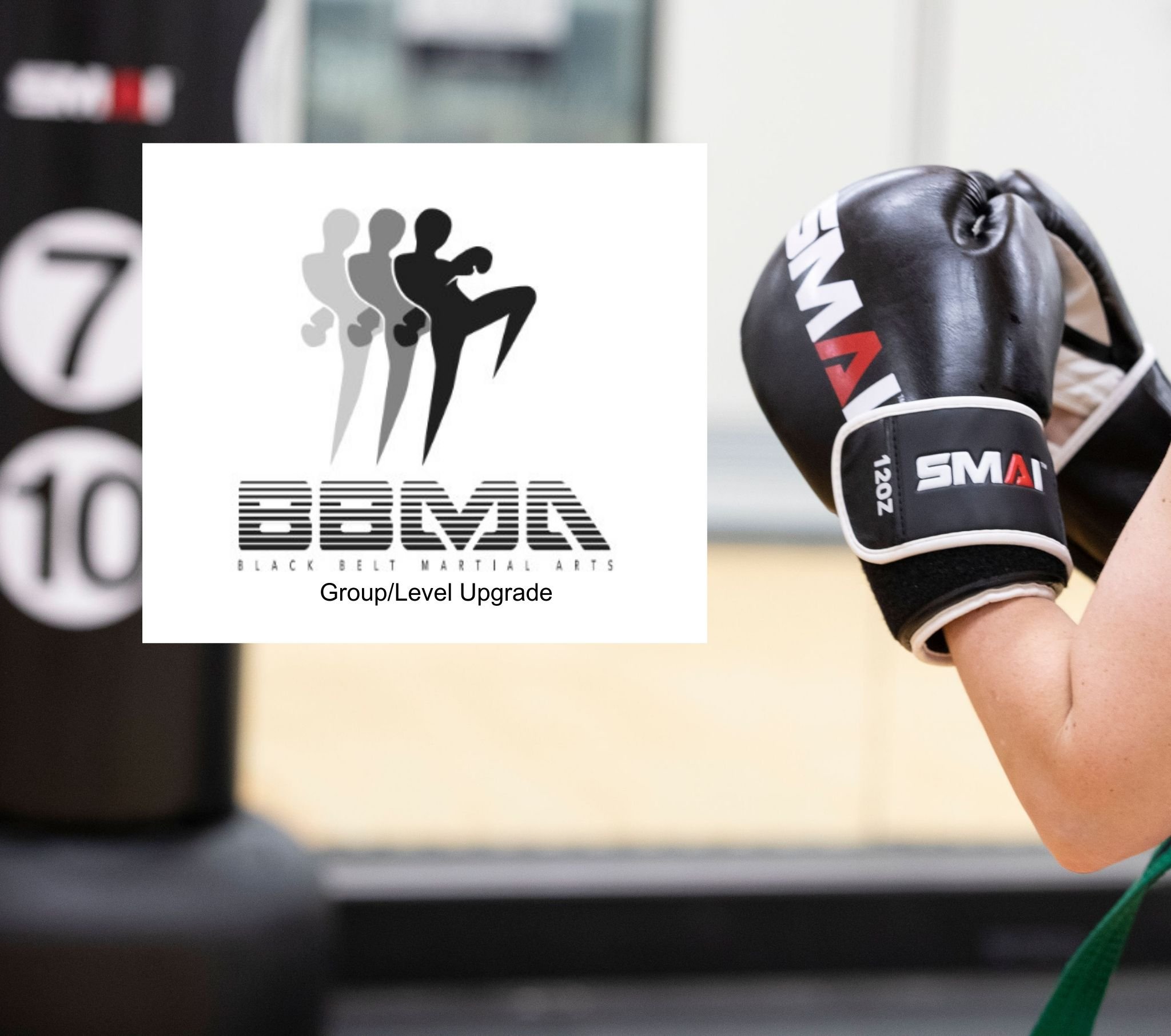 Kickboxing Group/Level Upgrade